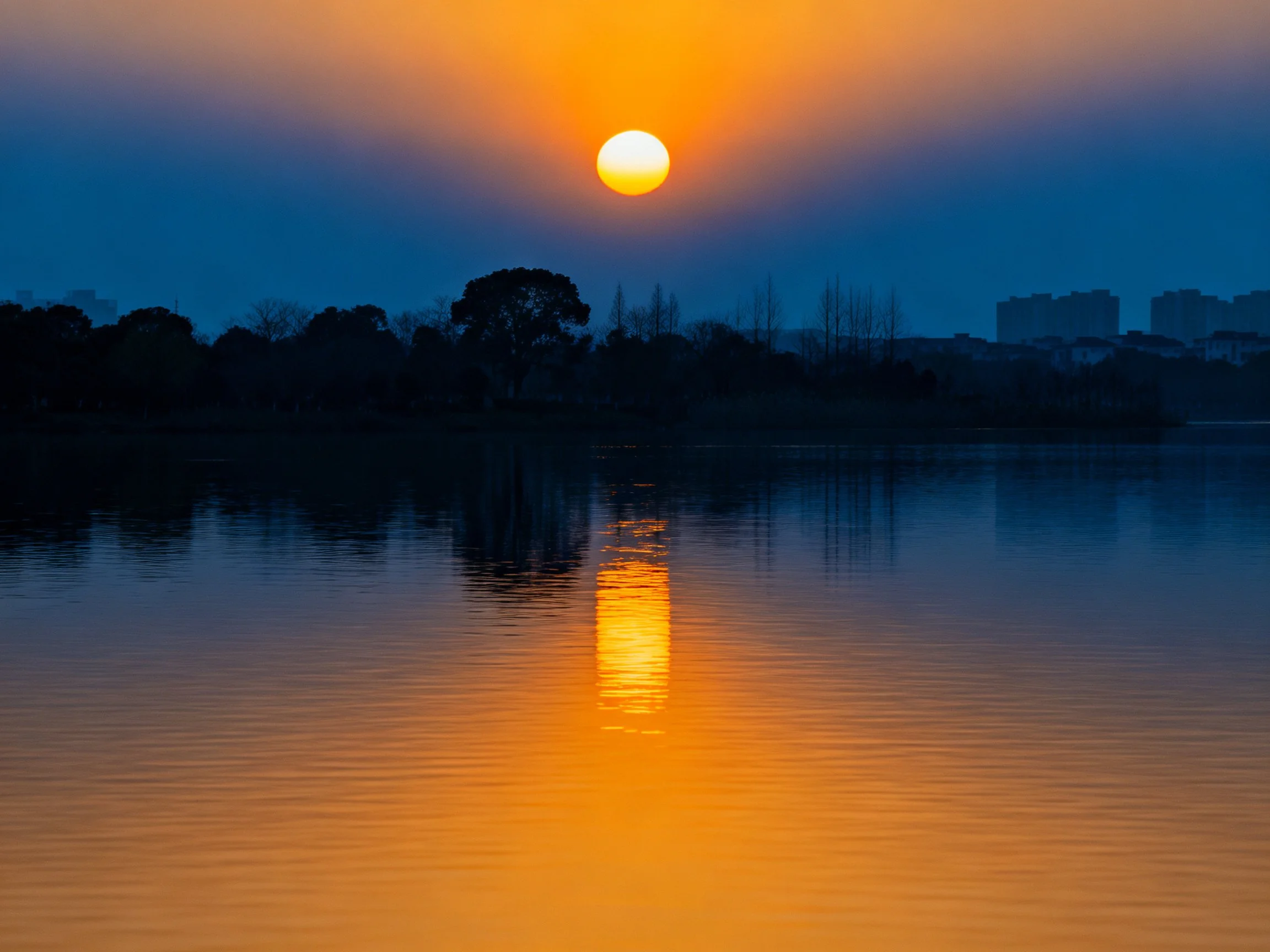 Golden sunset reflects over calm lake with dark tree silhouettes
