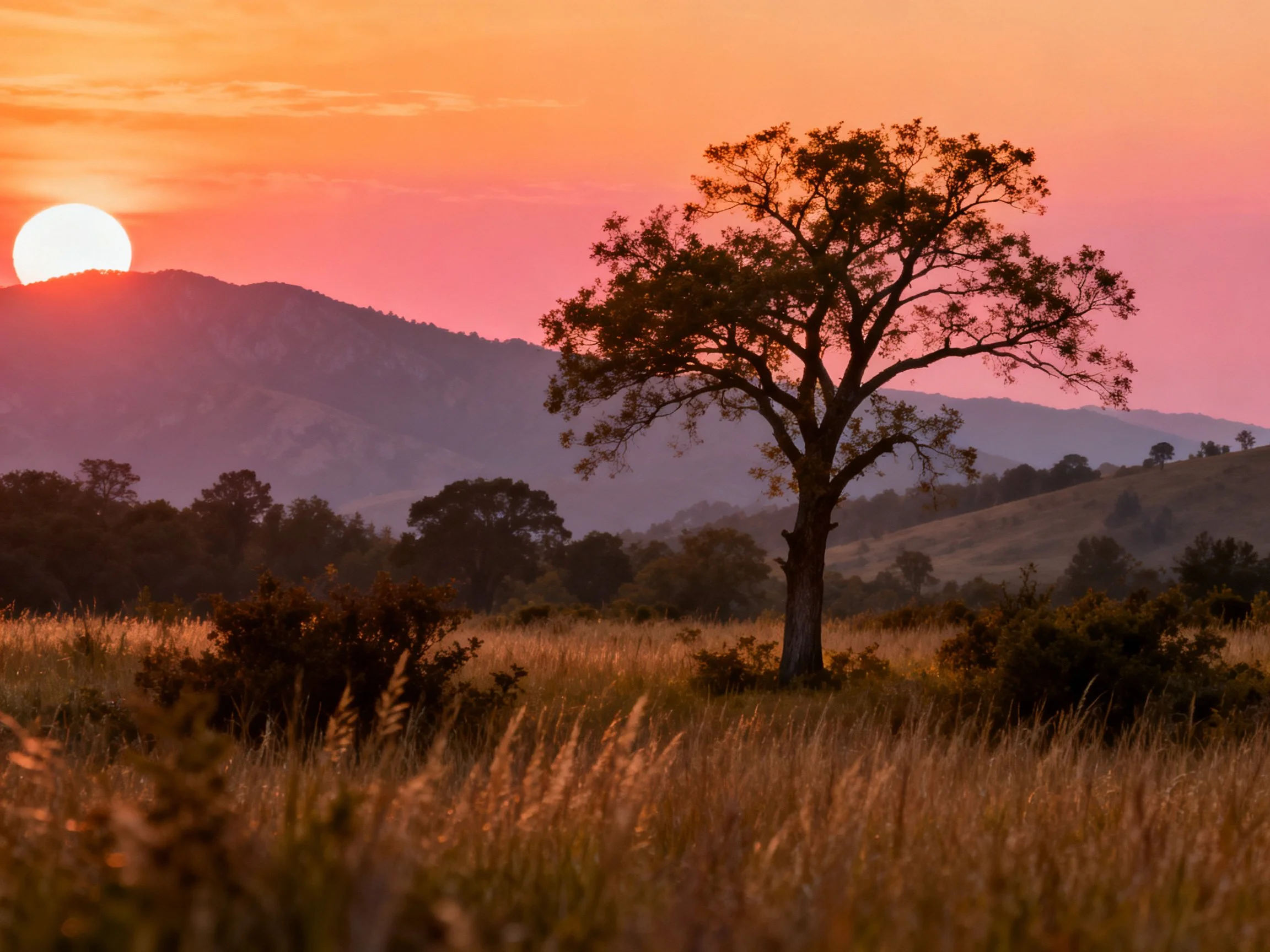 Lone tree in golden field under pink sunset over misty mountains