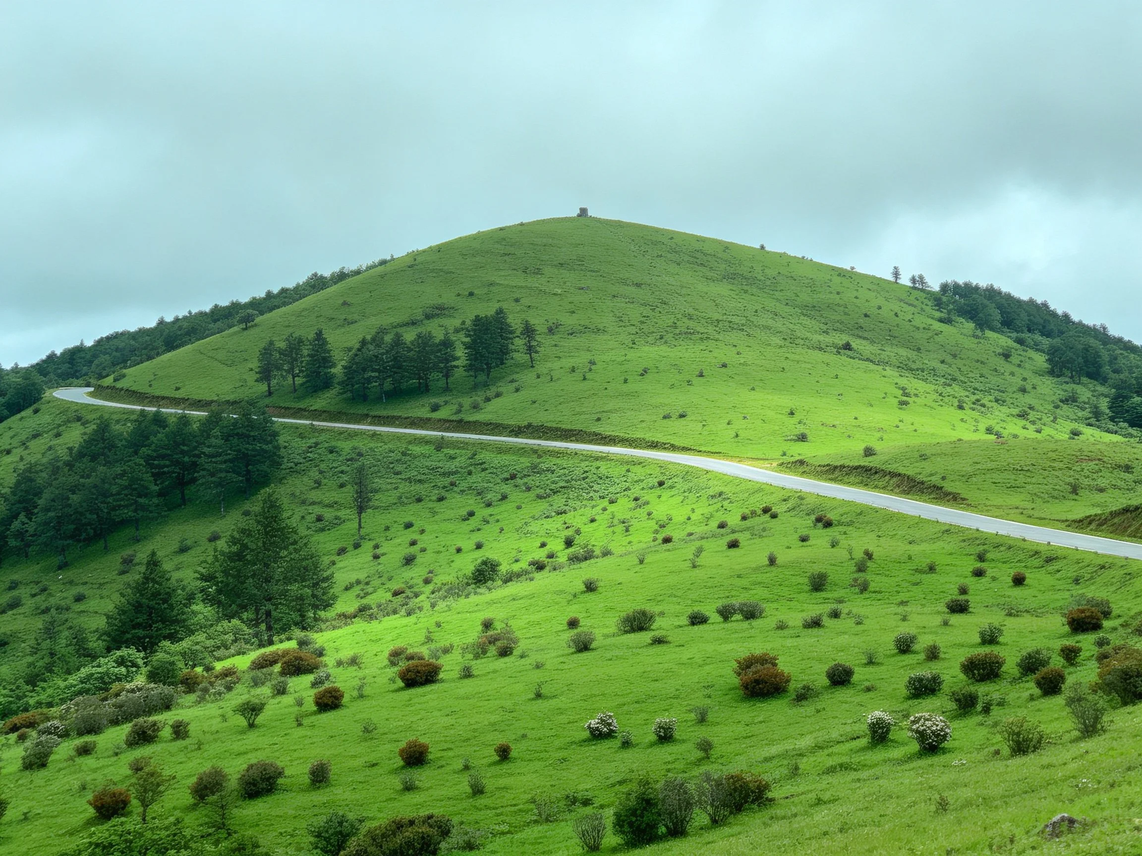 Lush Green Hillside with Winding Road and Dense Vegetation