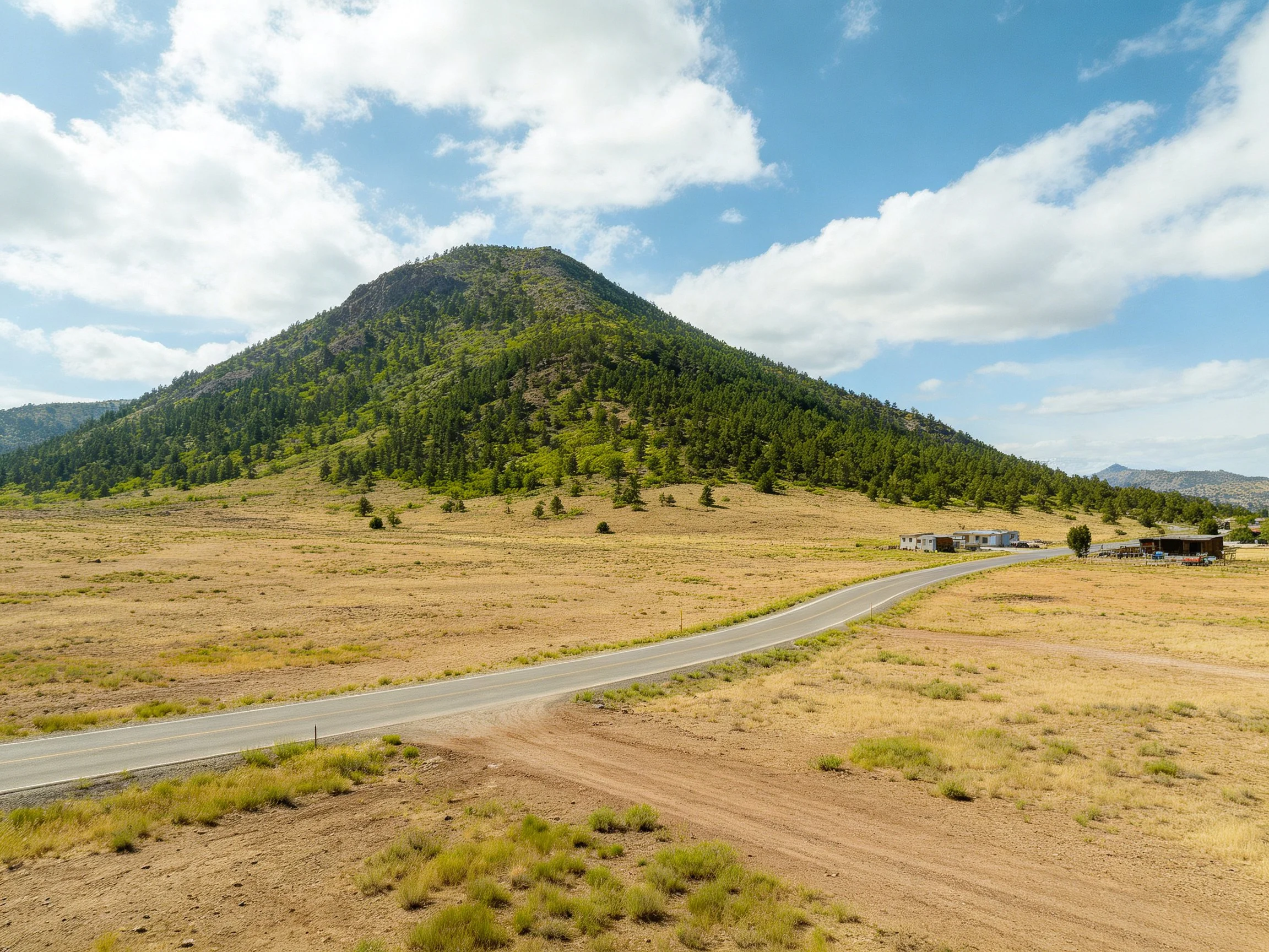 Lush green hillside adjacent to a winding road and open plains