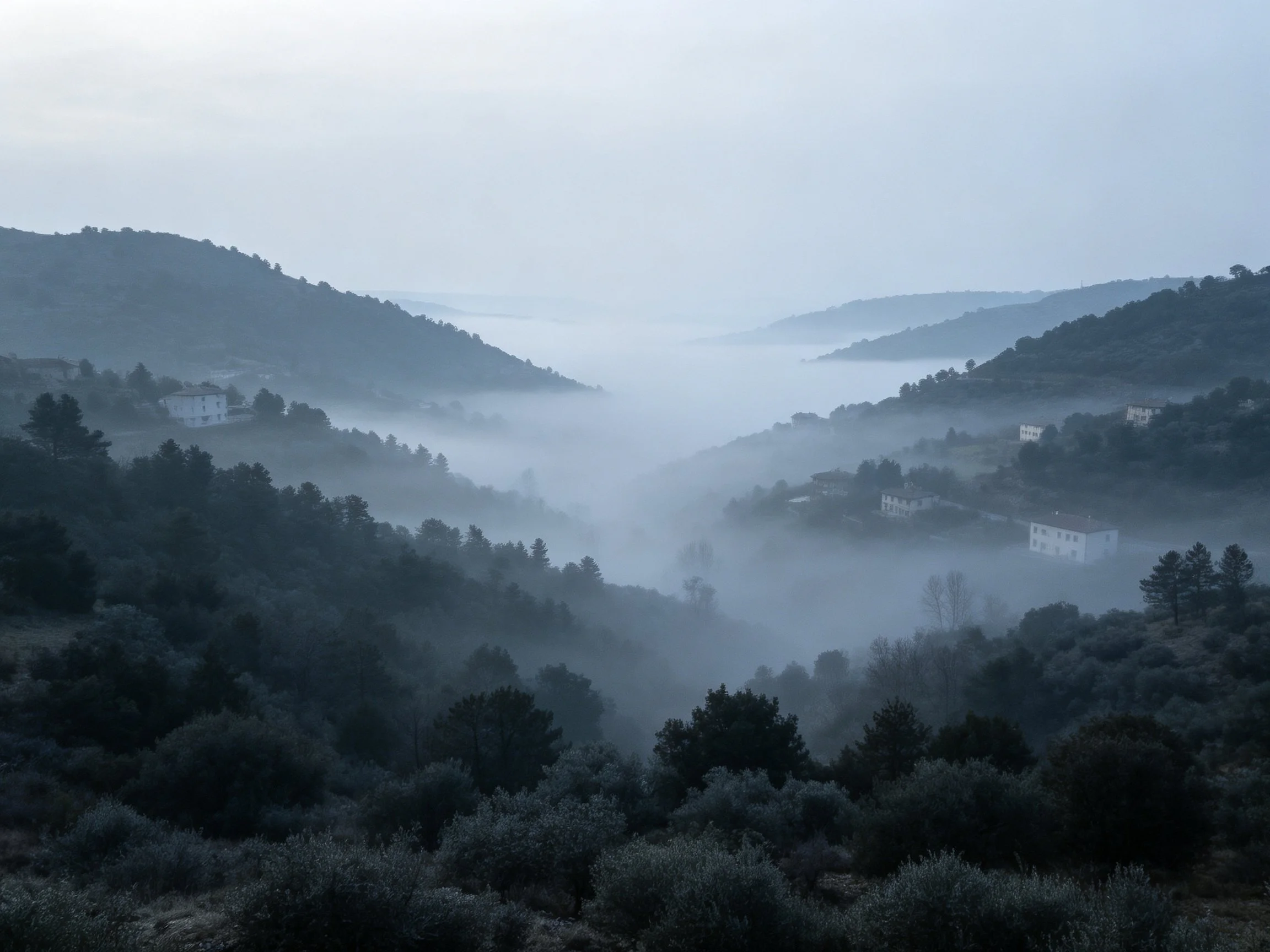 Misty Forested Valleys with Distant Houses