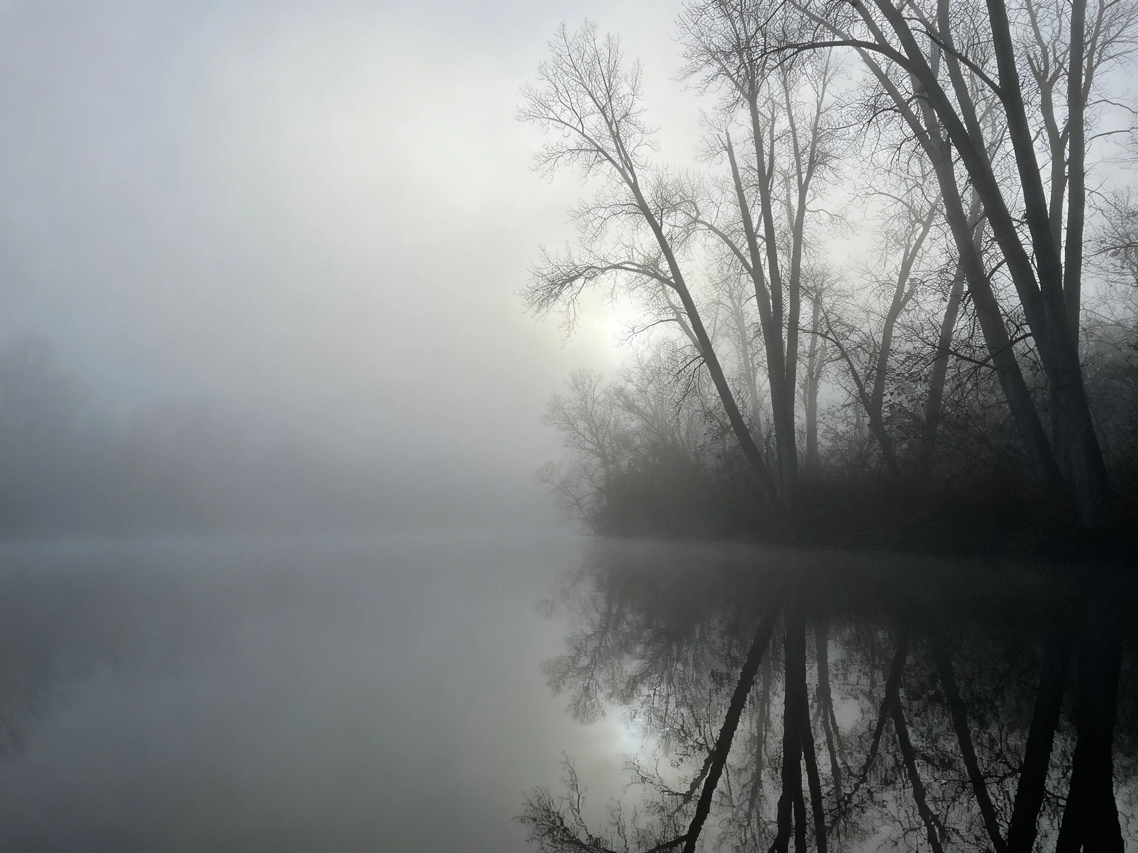 Misty Morning with Bare Trees Reflecting in Still Water