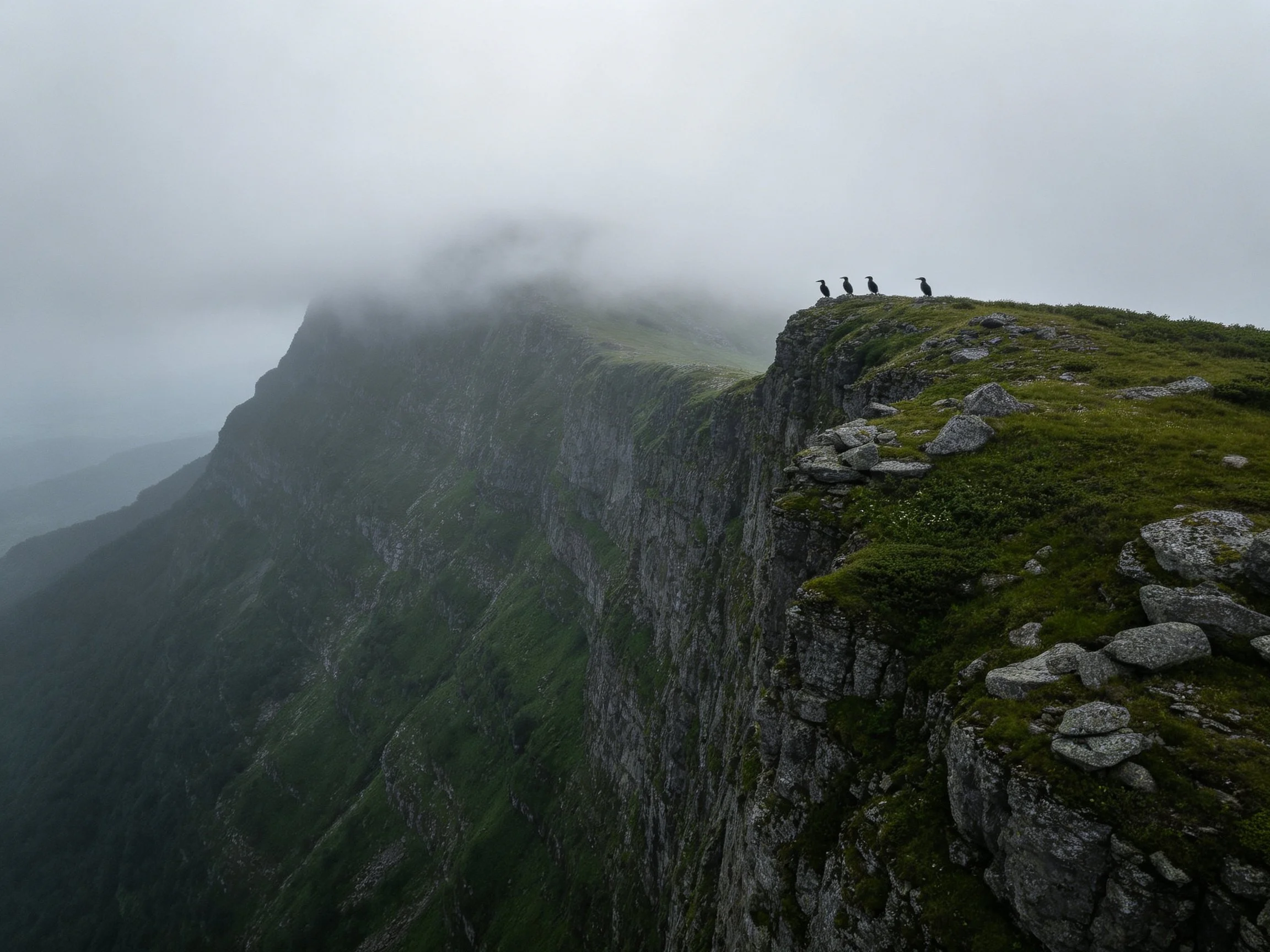 Misty Mountain Cliff Edge with Four Figures on Moss-Rock Summit