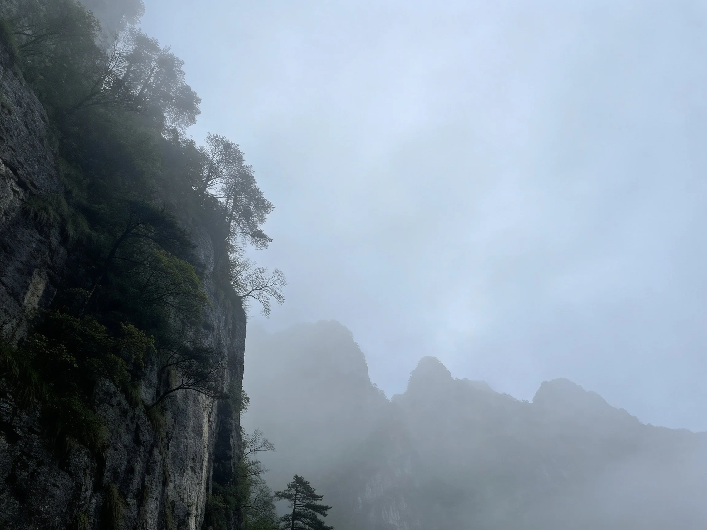 Misty Mountain Cliffs with Dense Vegetation and Foggy Peaks