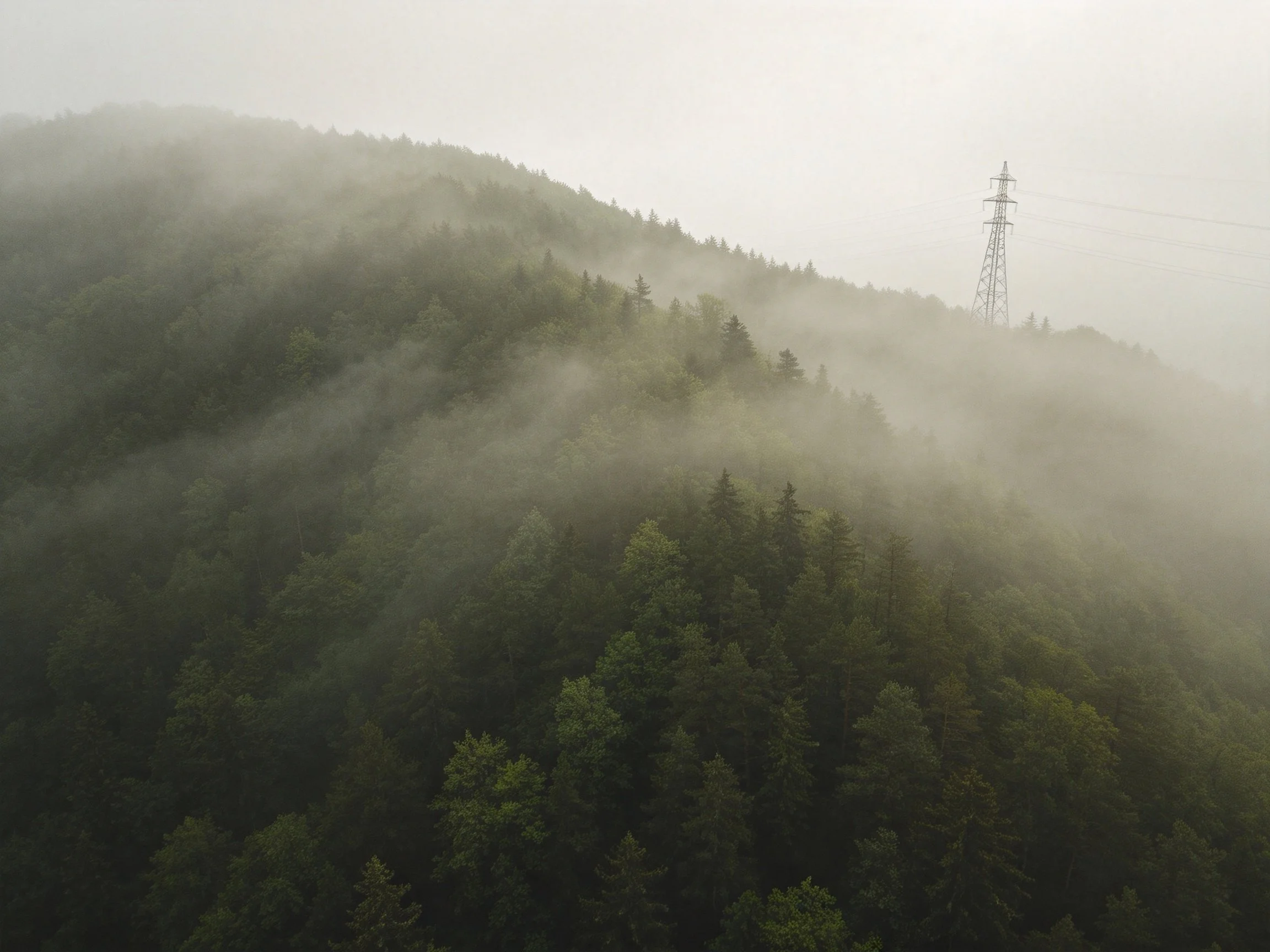Misty Mountain Forest with Distant Power Tower