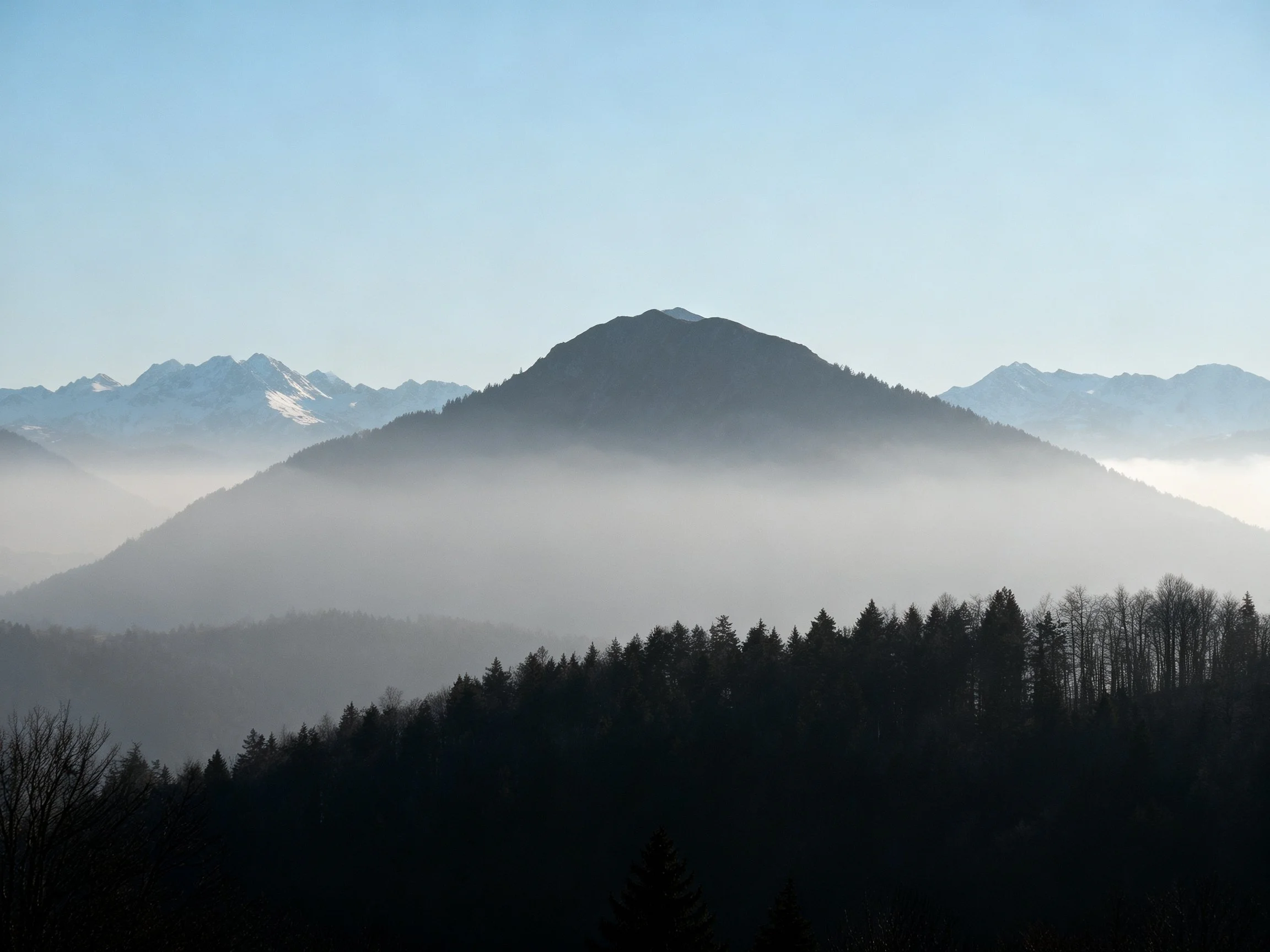 Misty Mountain Peaks with Dense Forest Below