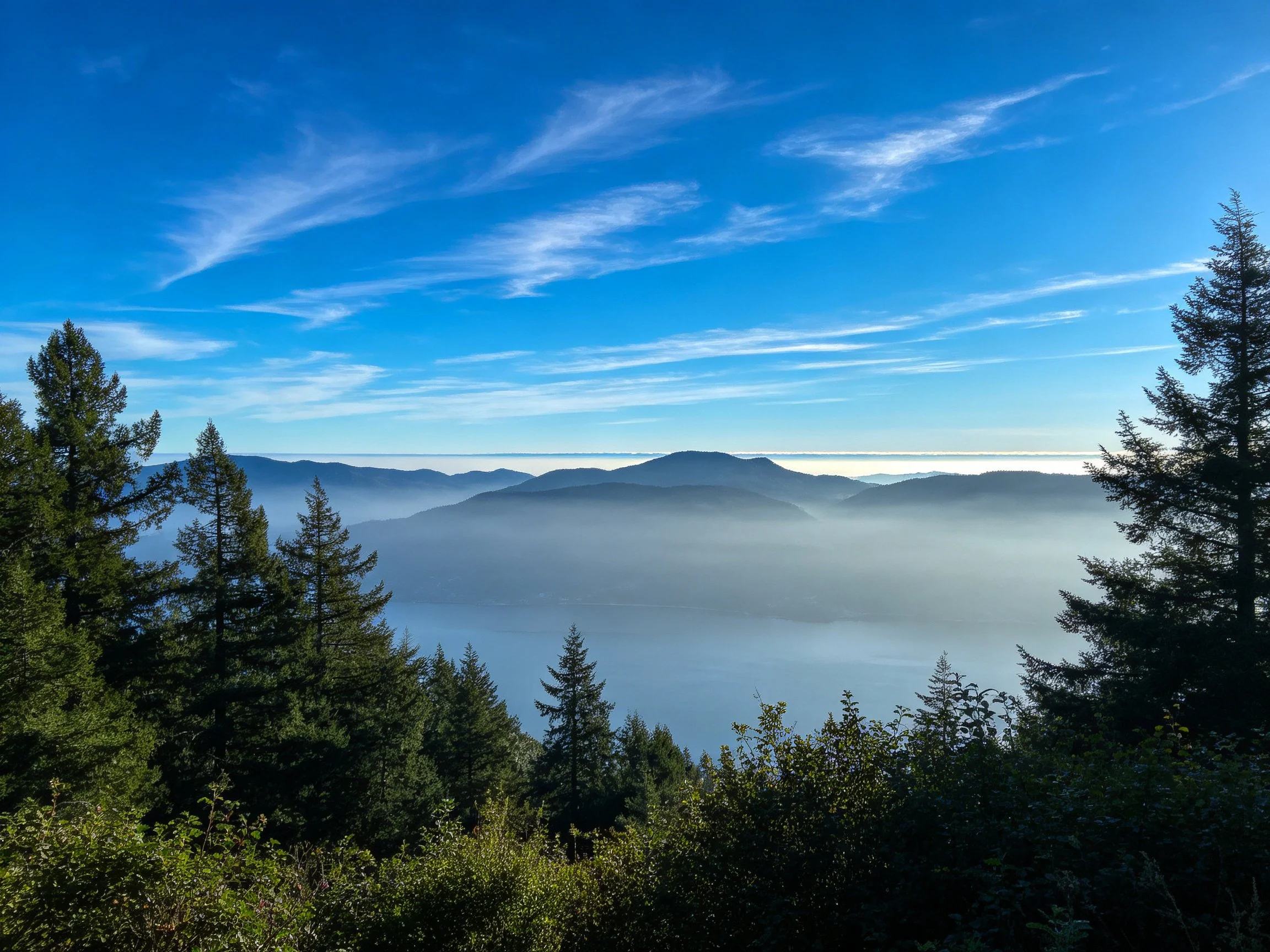 Misty Mountain Peaks with Lush Forest Under Clear Blue Sky