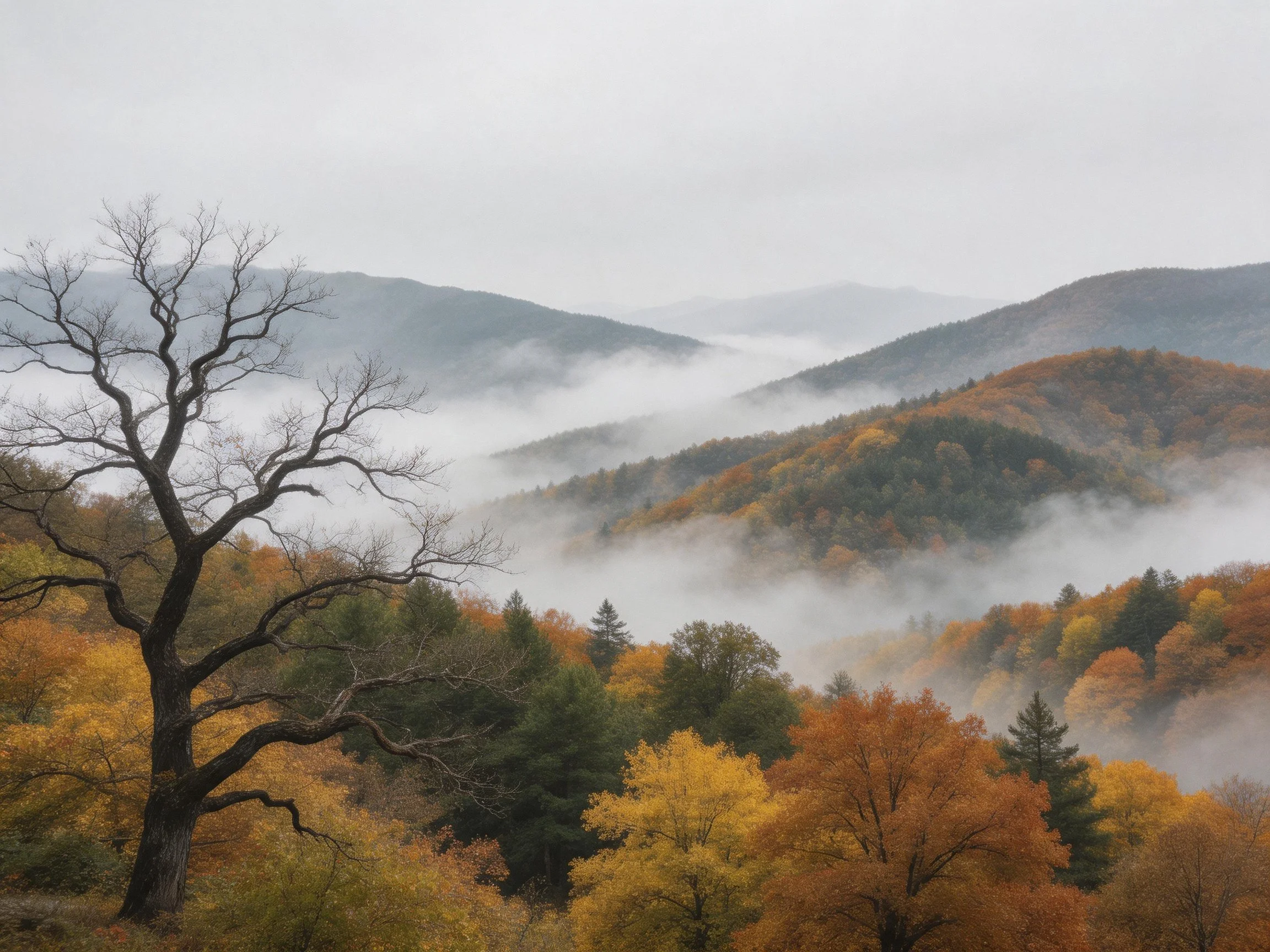Misty Mountain Valley with Autumn-Hued Trees and a Bare Tree
