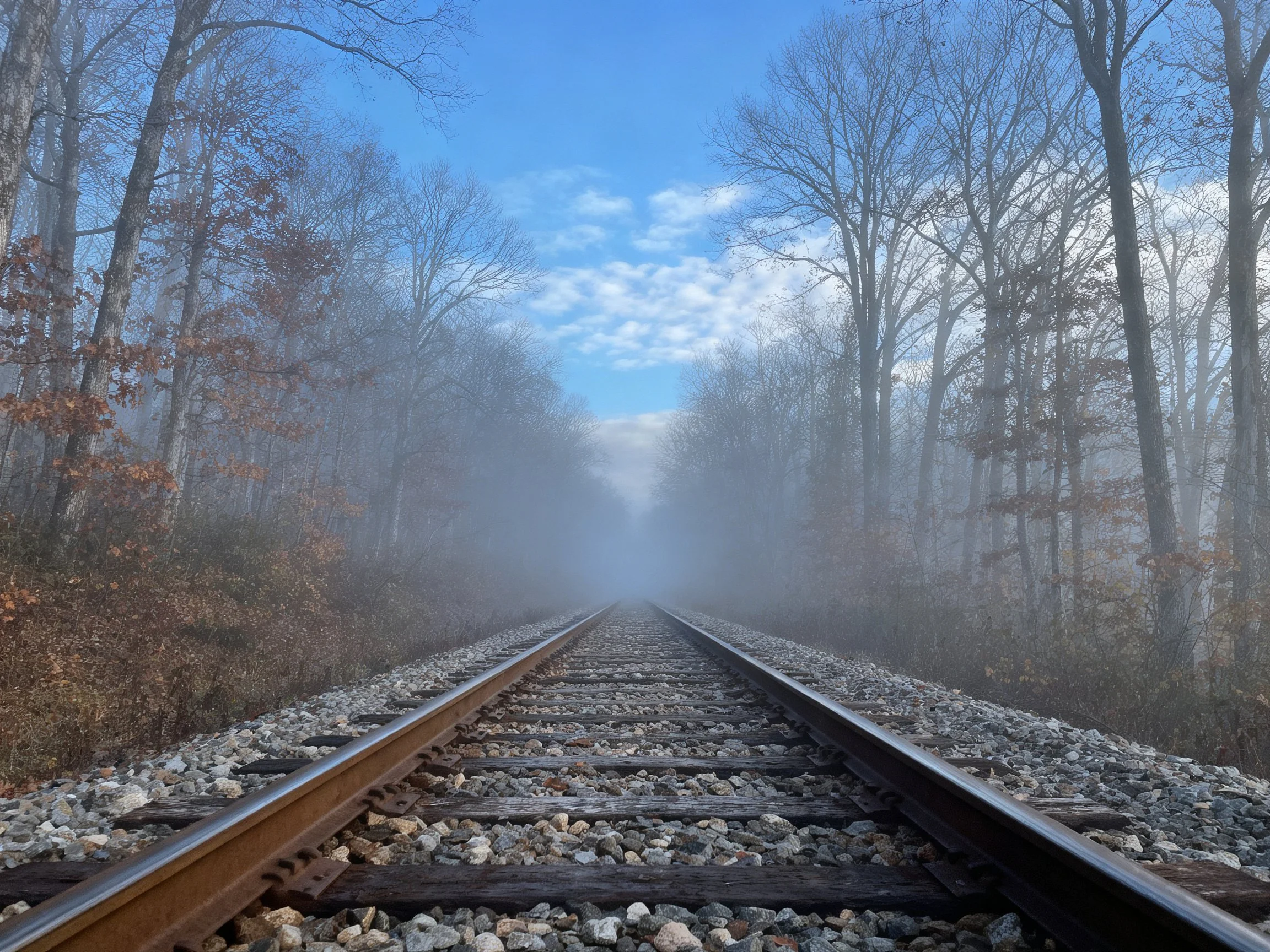 Misty Railroad Tracks in Autumnal Forest Under Bright Blue Sky