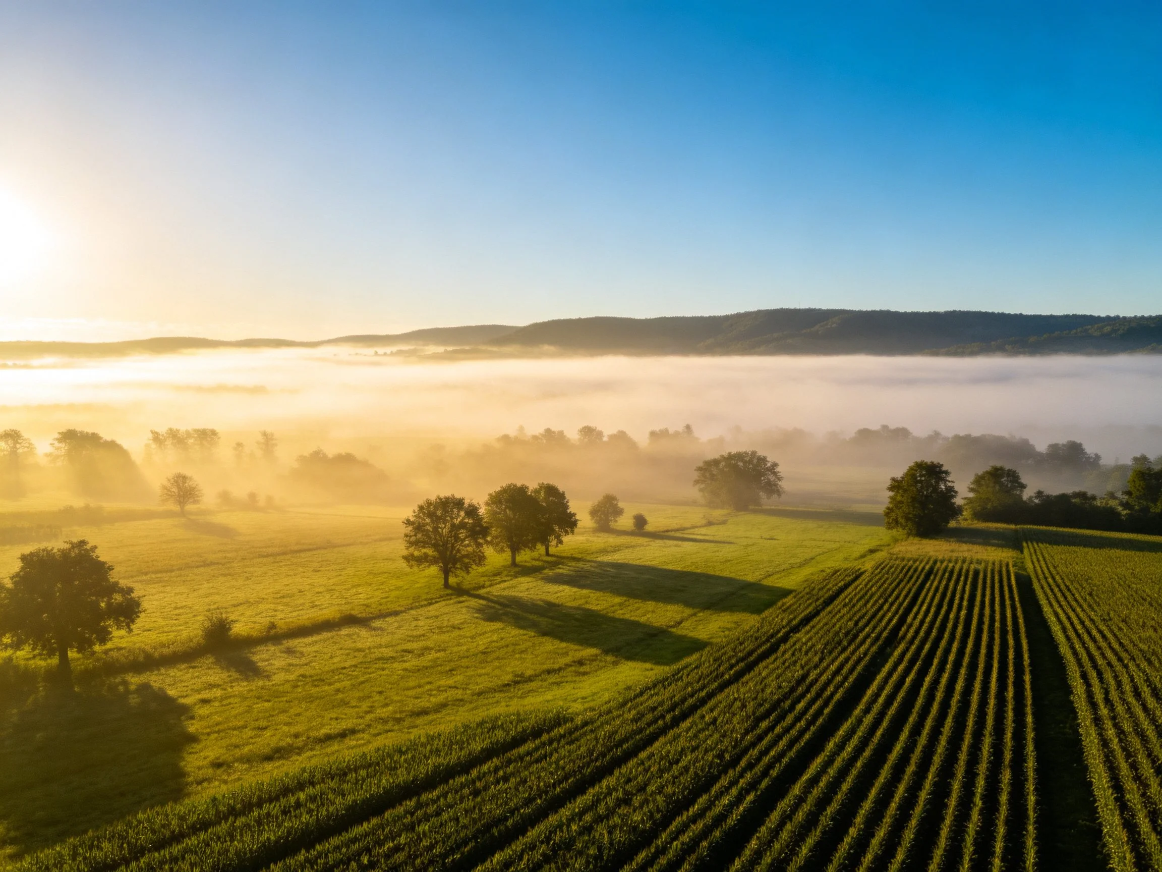 Misty Sunrise Over Rolling Agricultural Fields and Distant Mountains