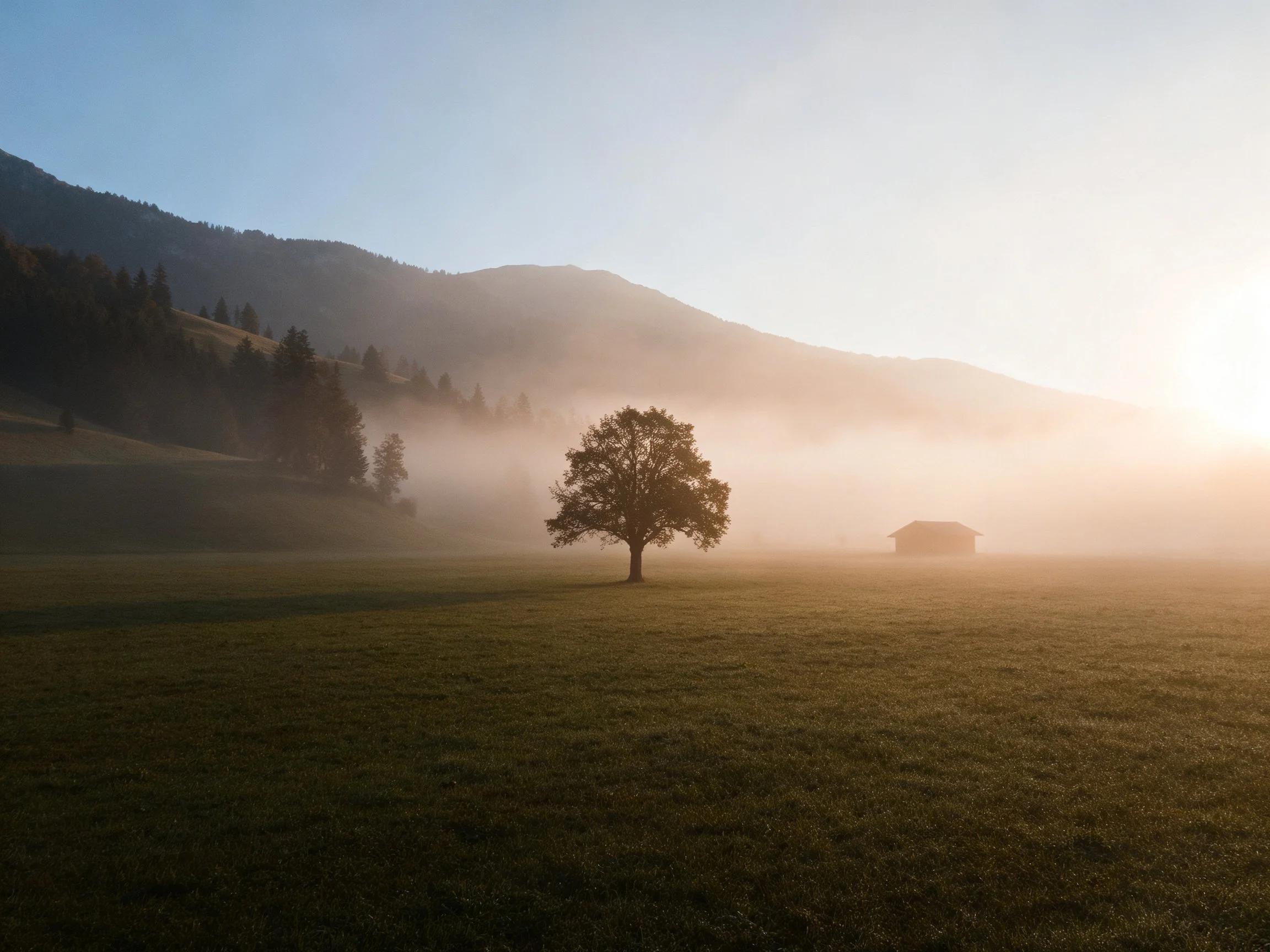 Misty meadow with a single tree, distant mountains, and a structure at dawn