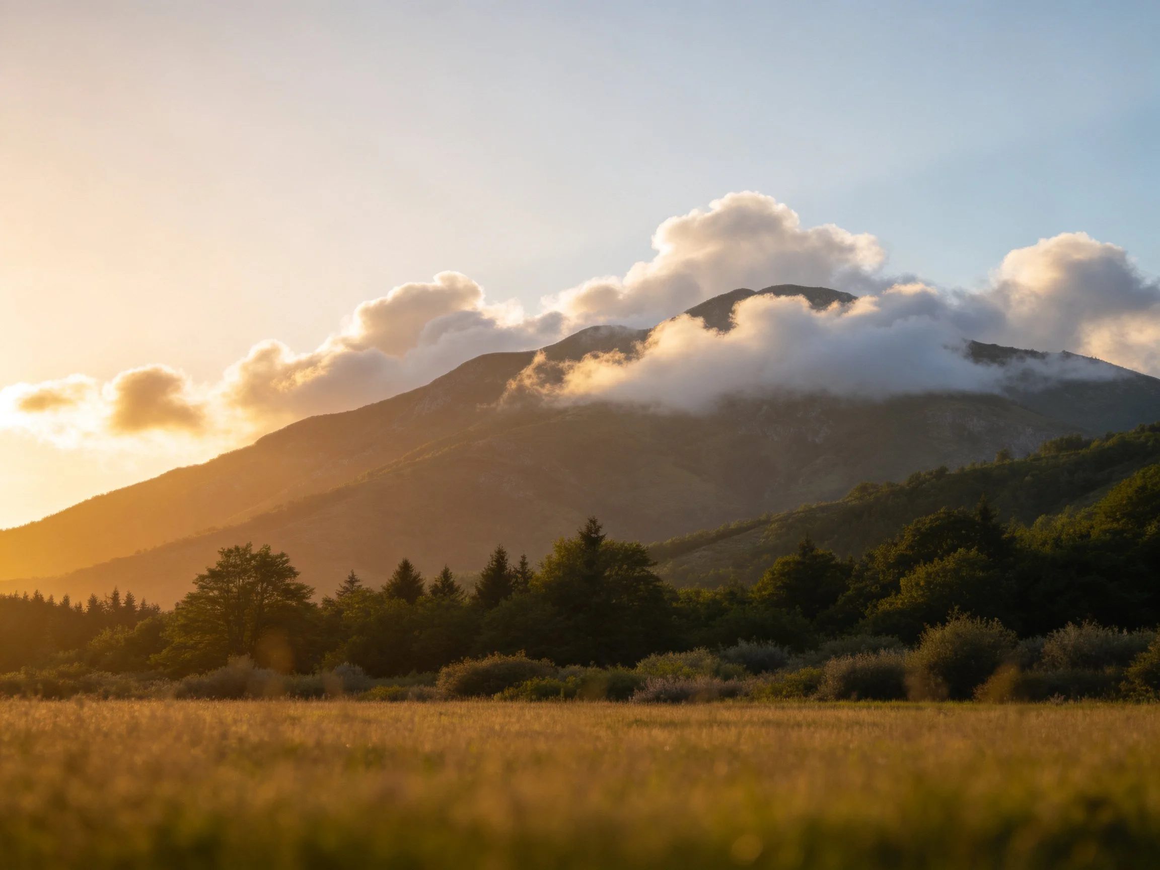Misty mountain peak with golden field under sunset glow