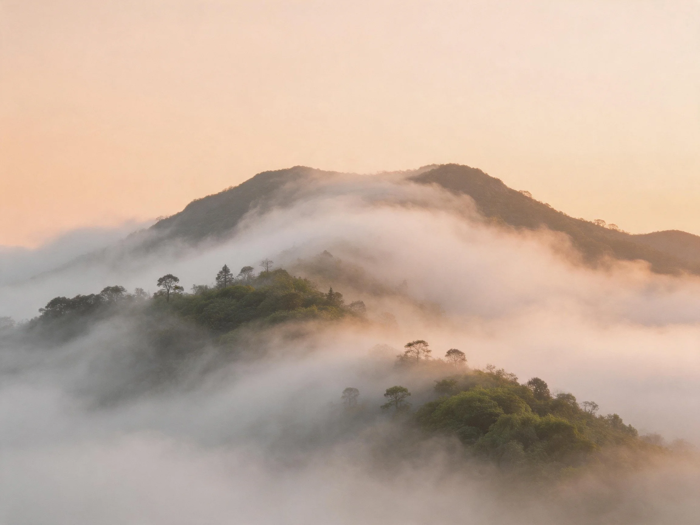 Misty mountain slopes with lush green forests at dawn