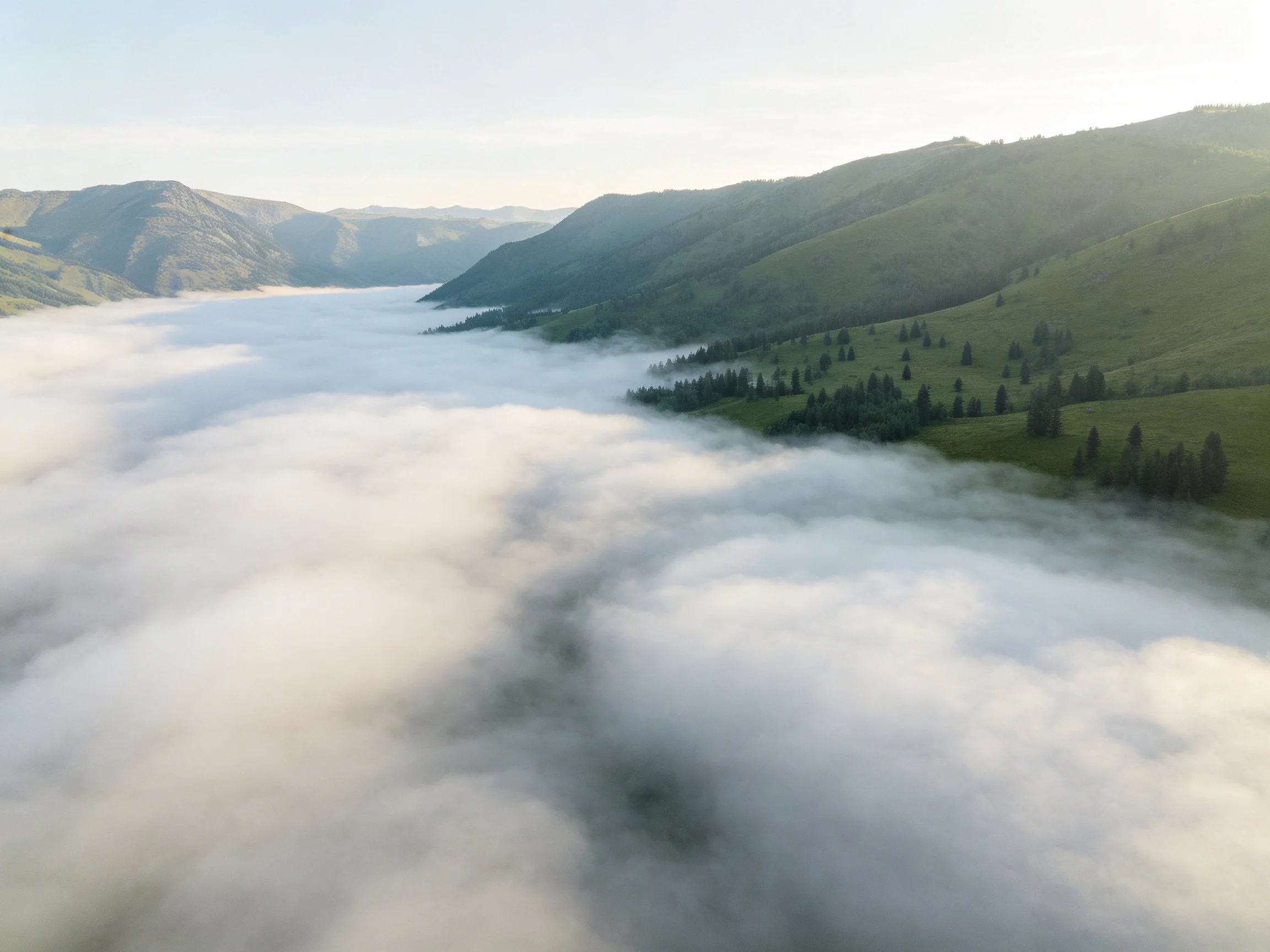 Misty valley with lush green hills and thick fog