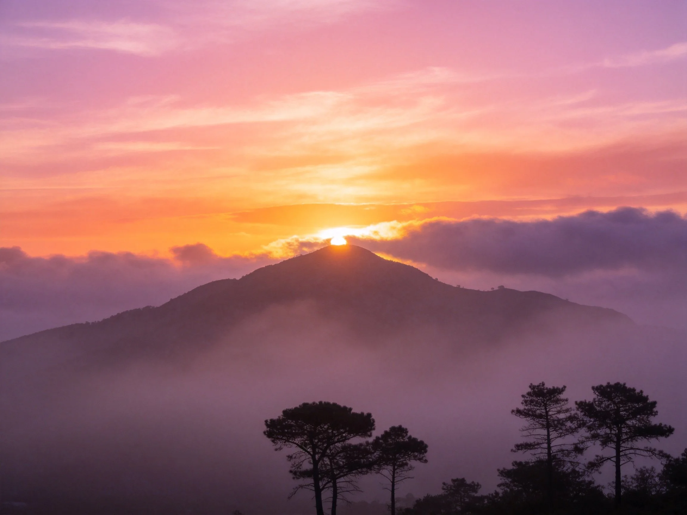 Mountain peak at sunrise with purple-orange sky and silhouetted trees