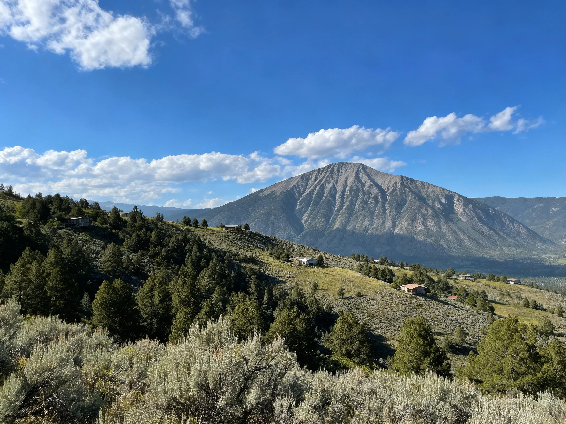 Mountain peak overlooks forested area with rural homes