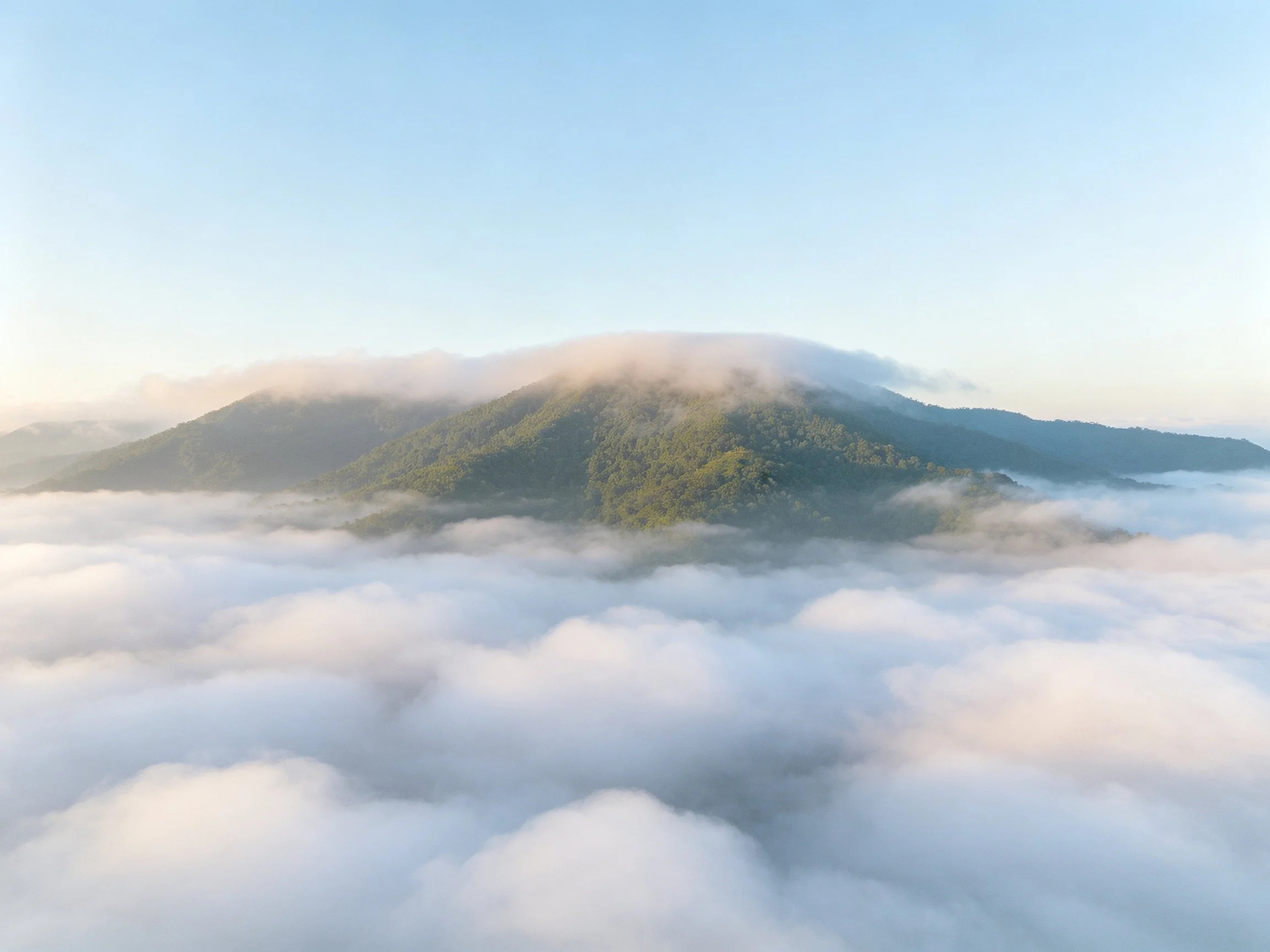 Mountain peak shrouded in mist, sea of white clouds below, lush green slopes