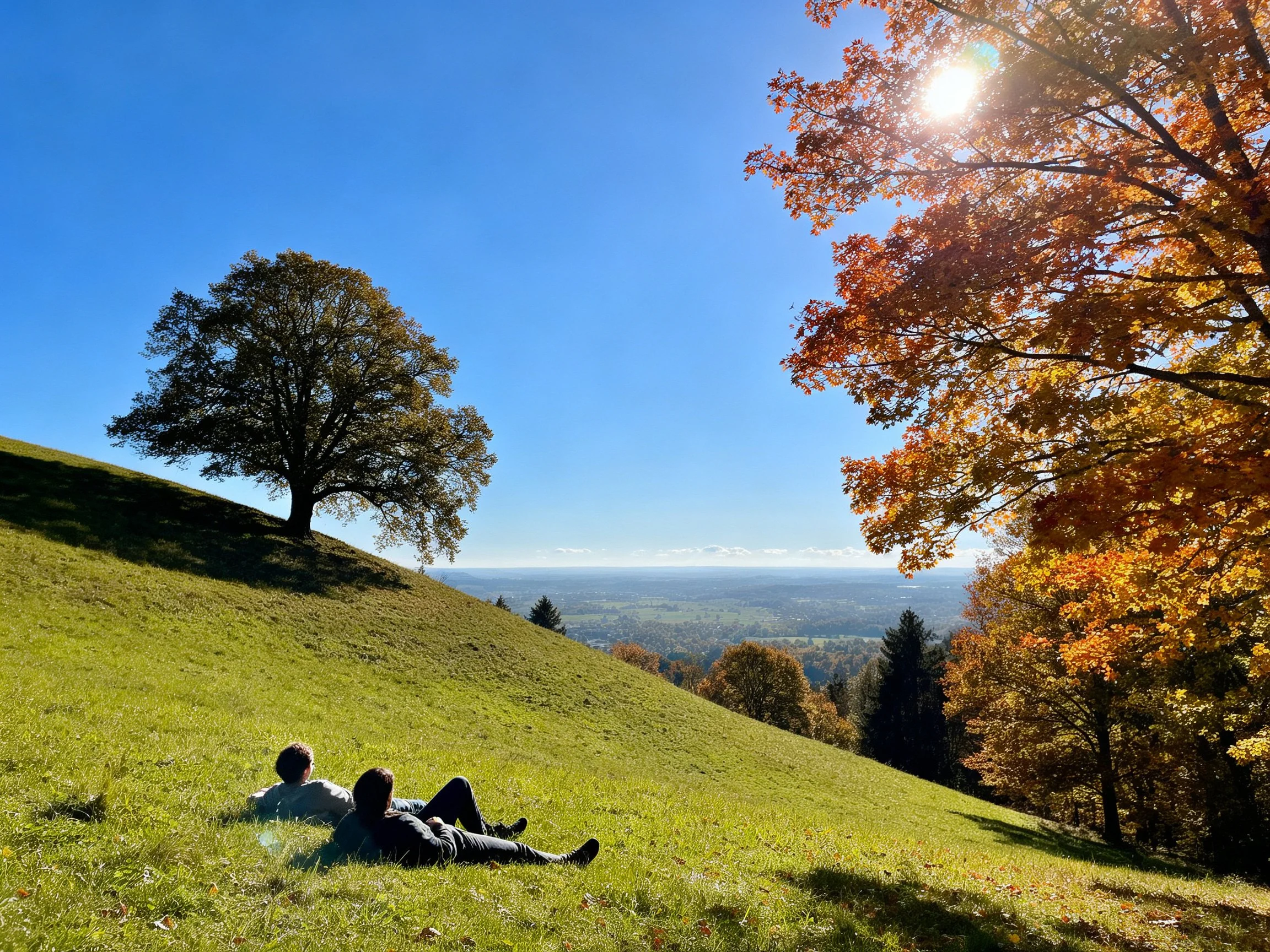 People resting on a sunlit grassy hill with autumn trees