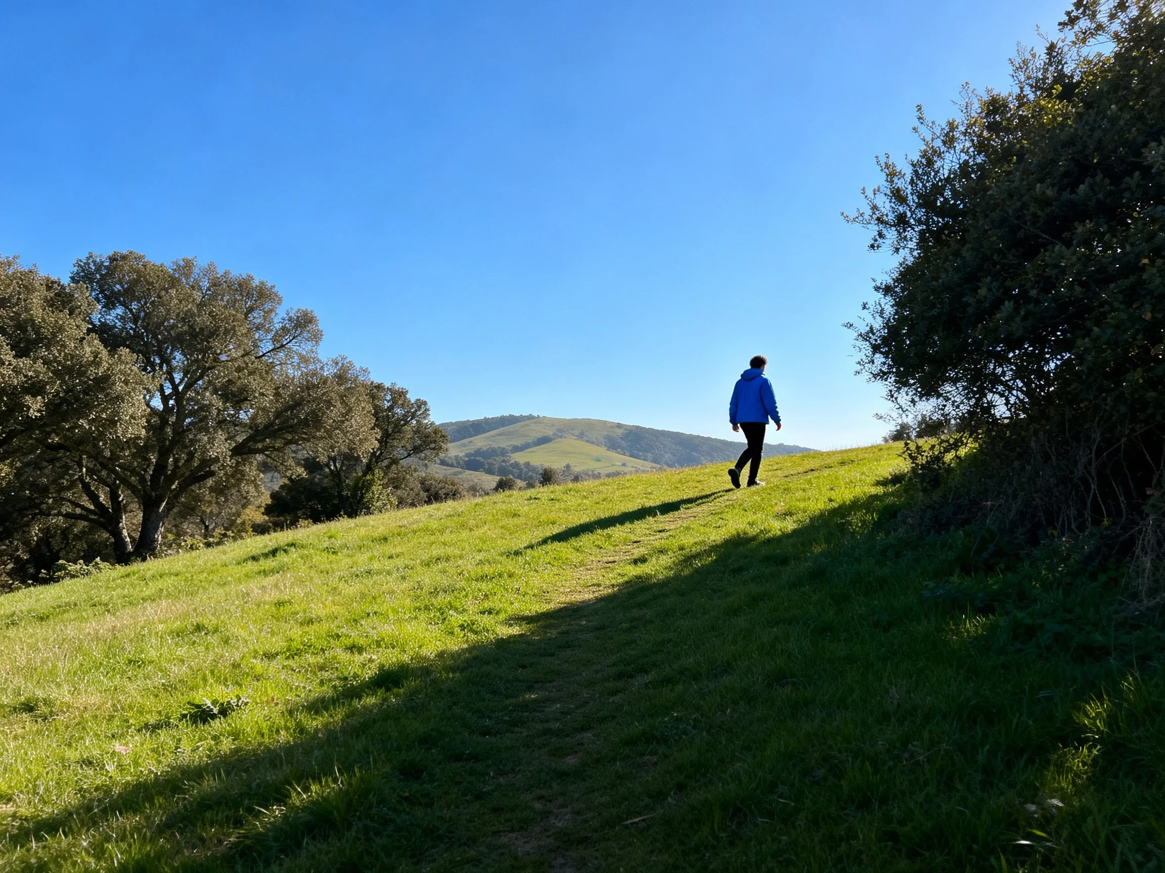 Person hiking up a lush green hillside with distant hills