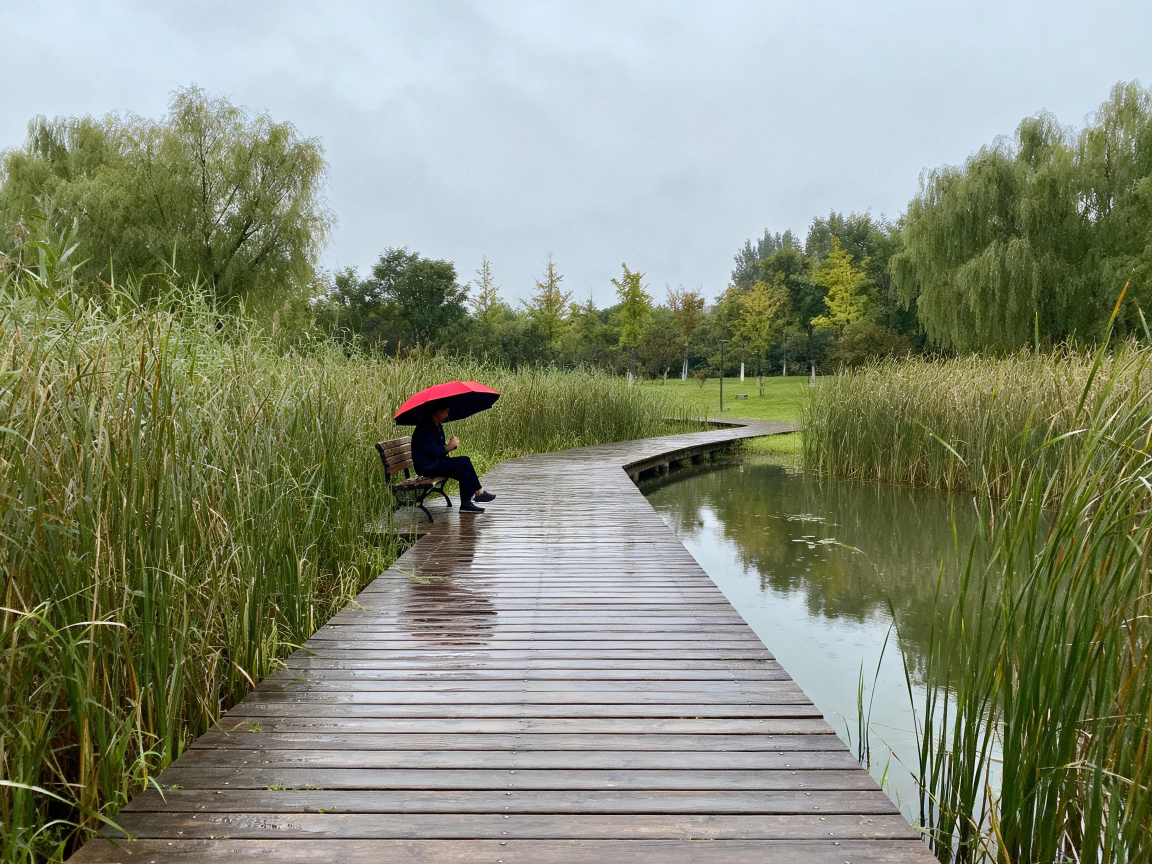Person with red umbrella on wet wooden boardwalk by calm water