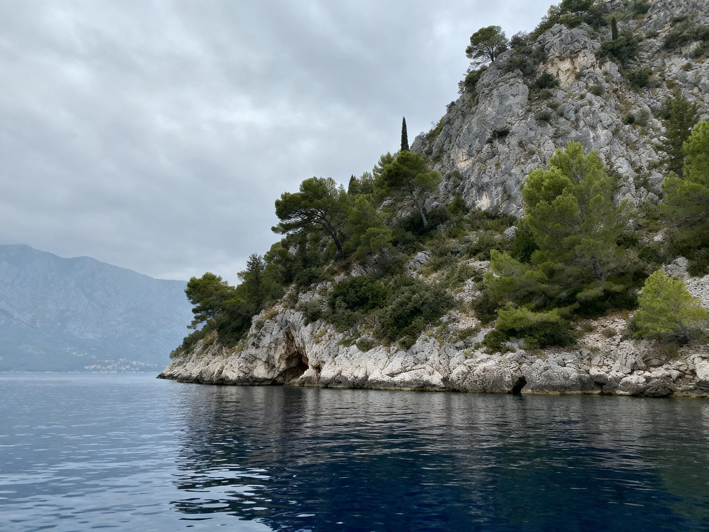 Rocky Coastal Cliff with Dense Greenery and Calm Blue Waters