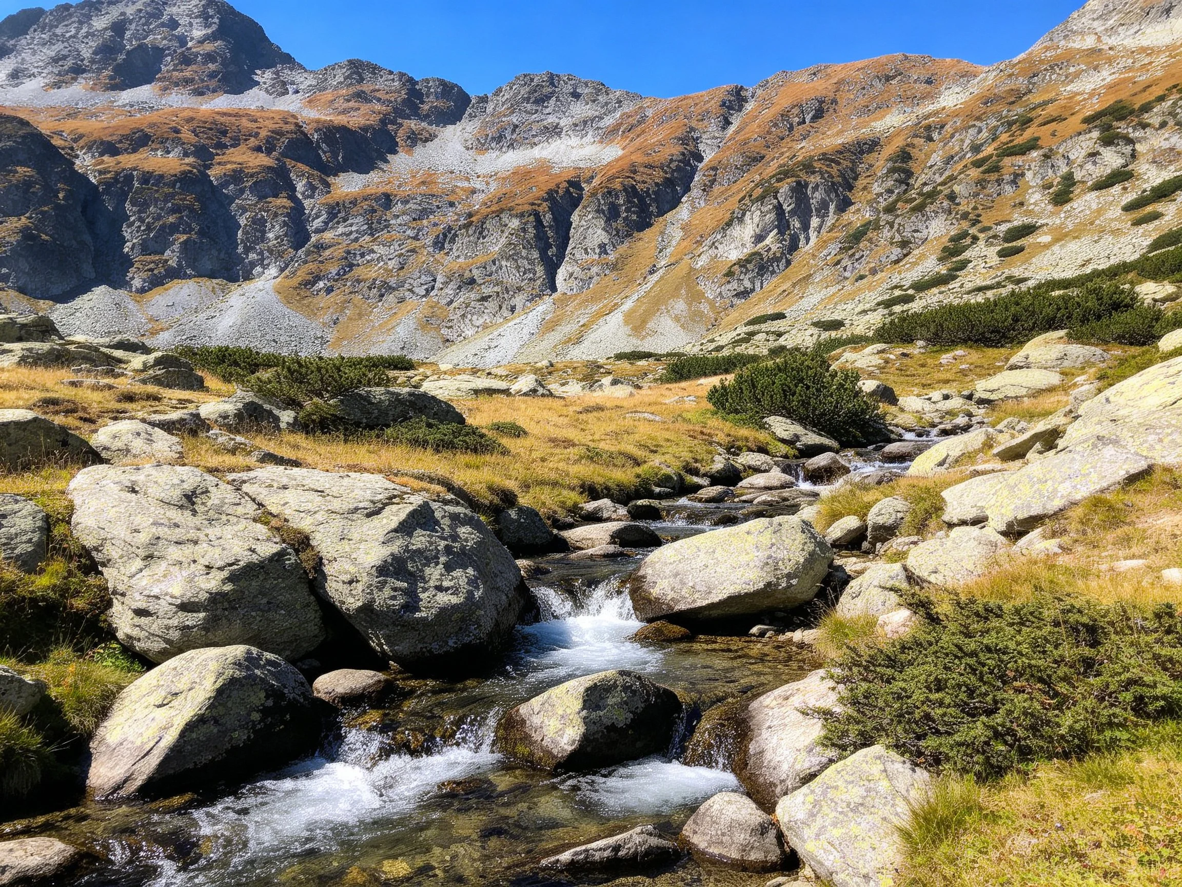 Rocky Stream Bed in Mountain Valley With Colorful Peaks