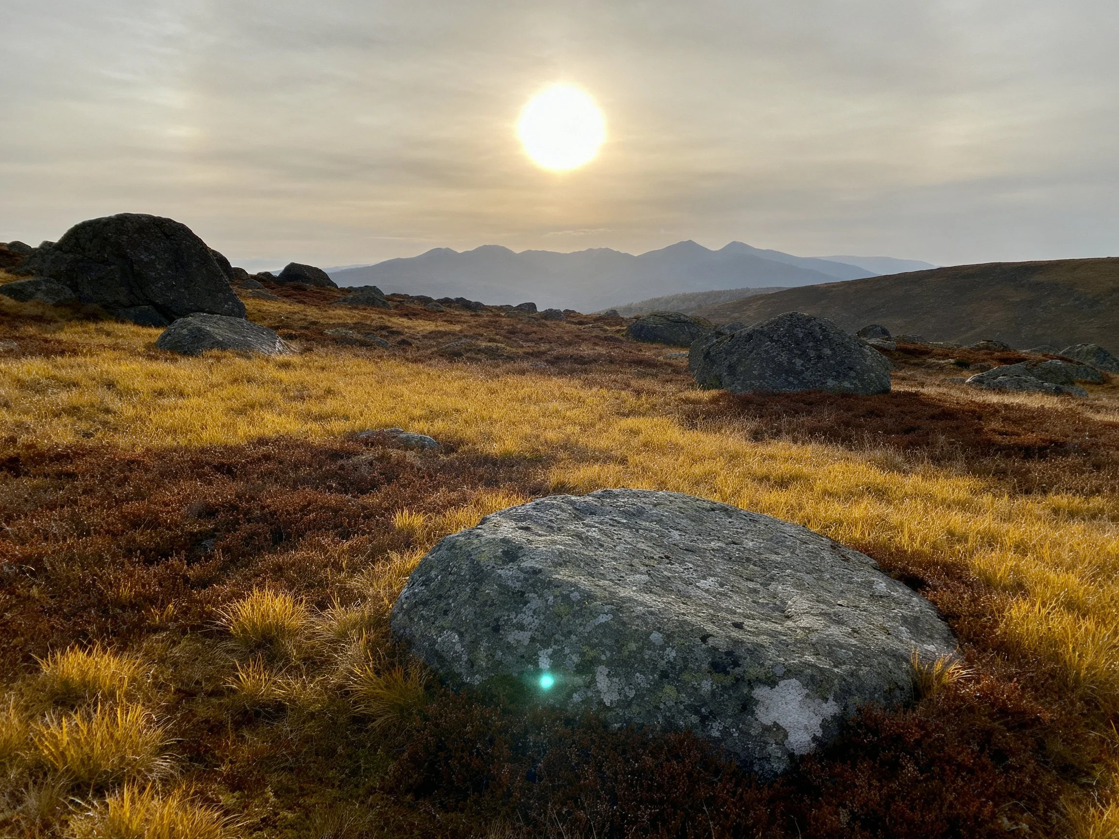 Rocky field with golden-brown vegetation, distant mountains, bright sun
