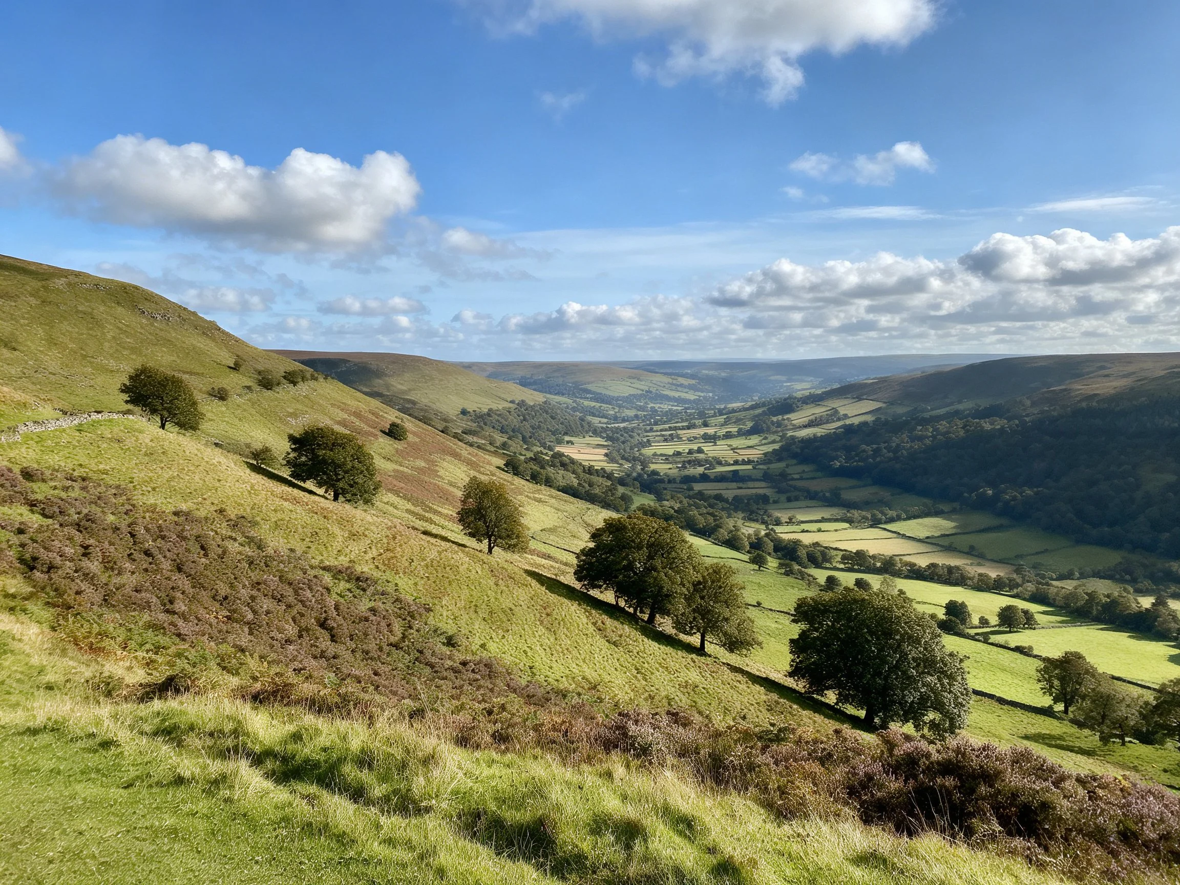 Rolling green hills and scattered trees in a picturesque countryside valley