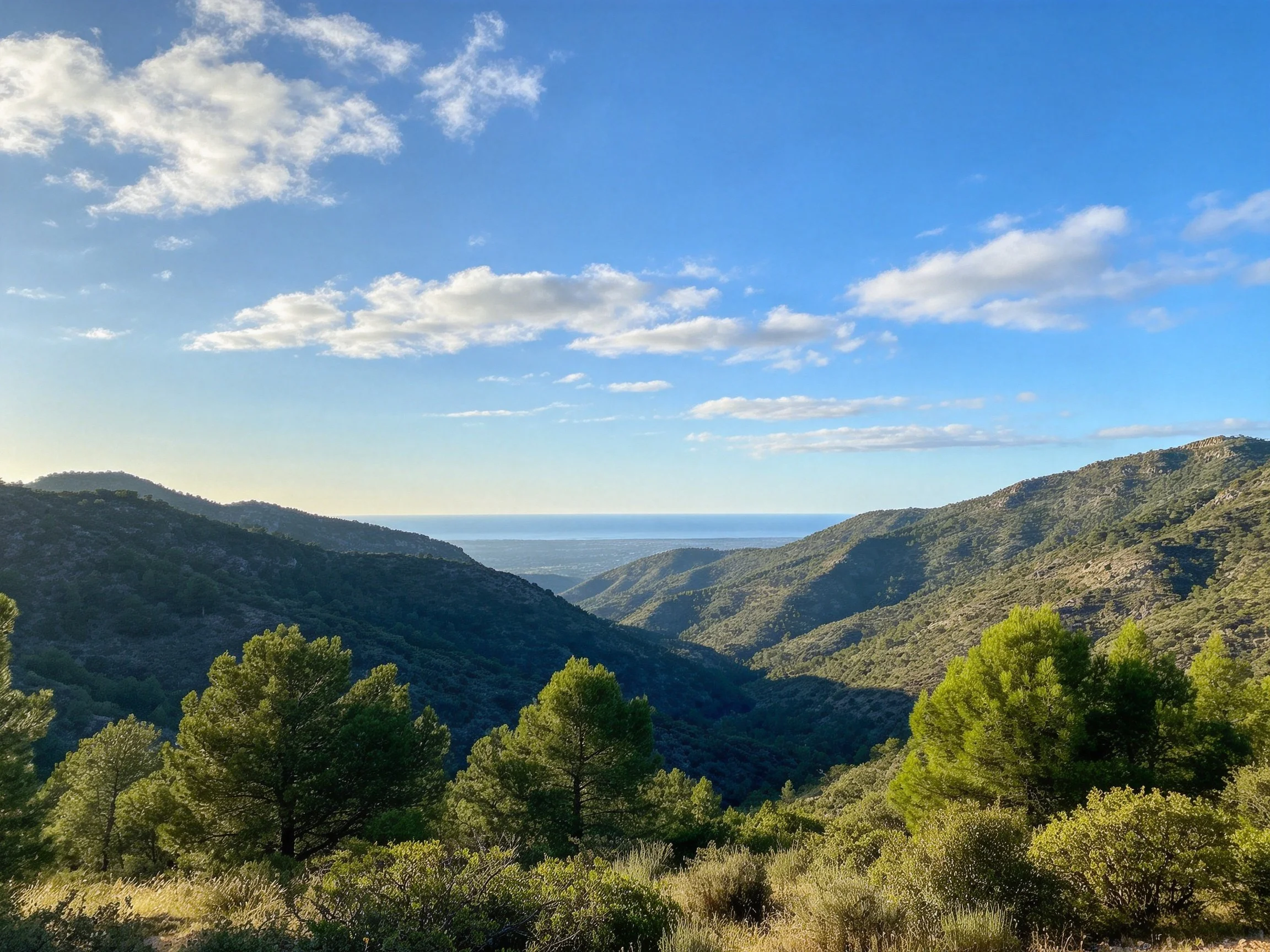 Rolling green hills with pine forests overlook a distant blue sea