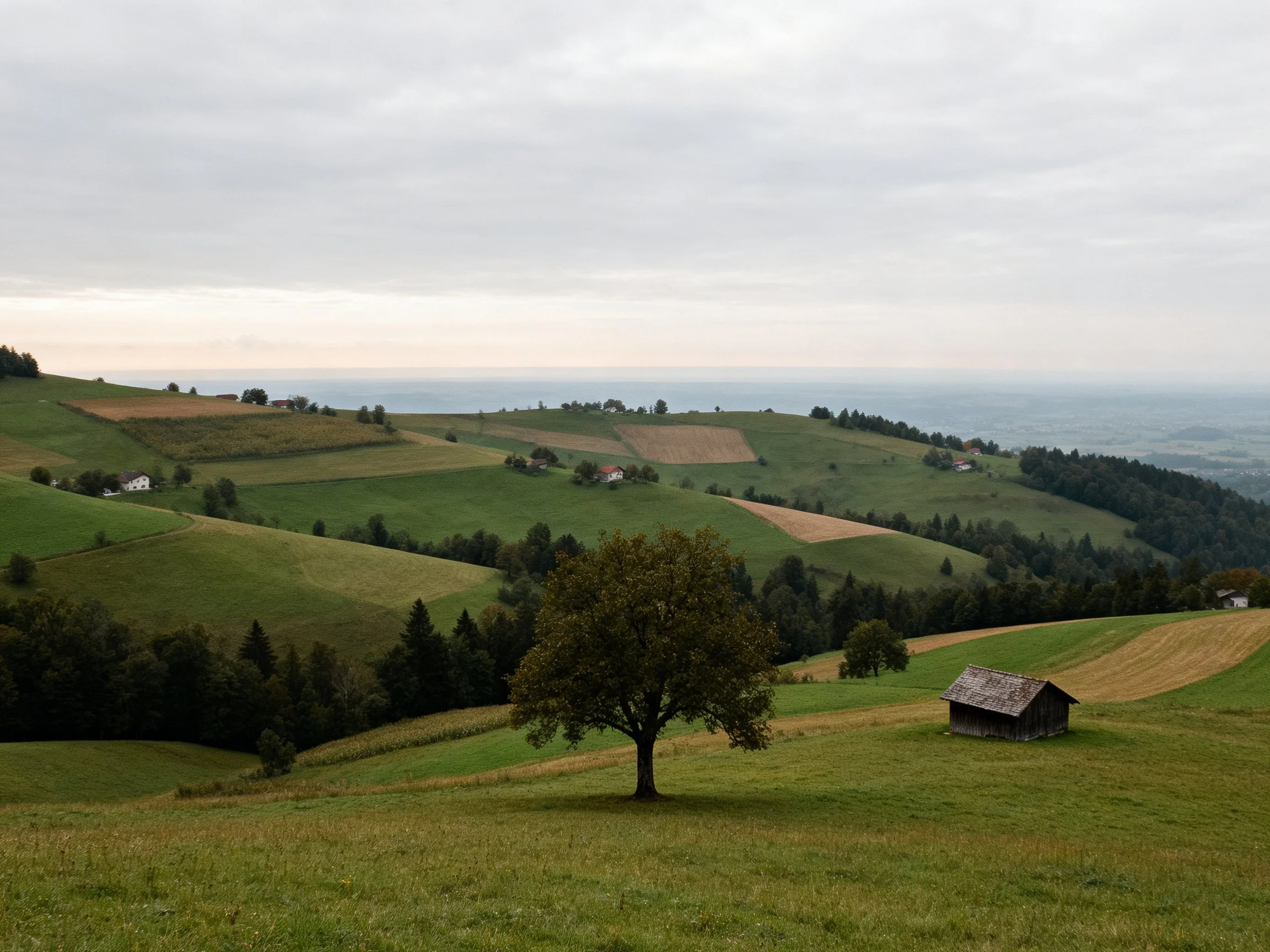 Rolling green hills with scattered trees and a wooden cabin under an overcast sky