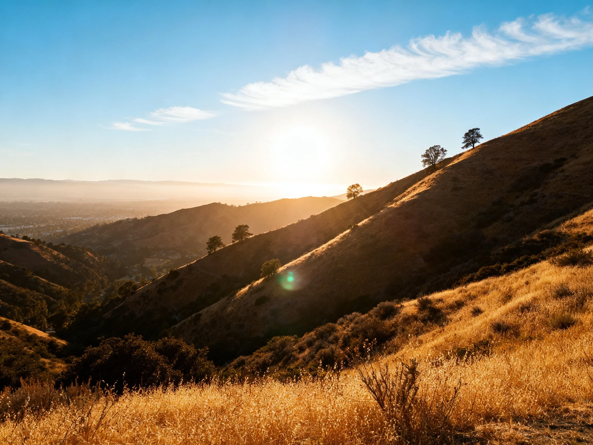 Rolling hills bathed in golden sunset light