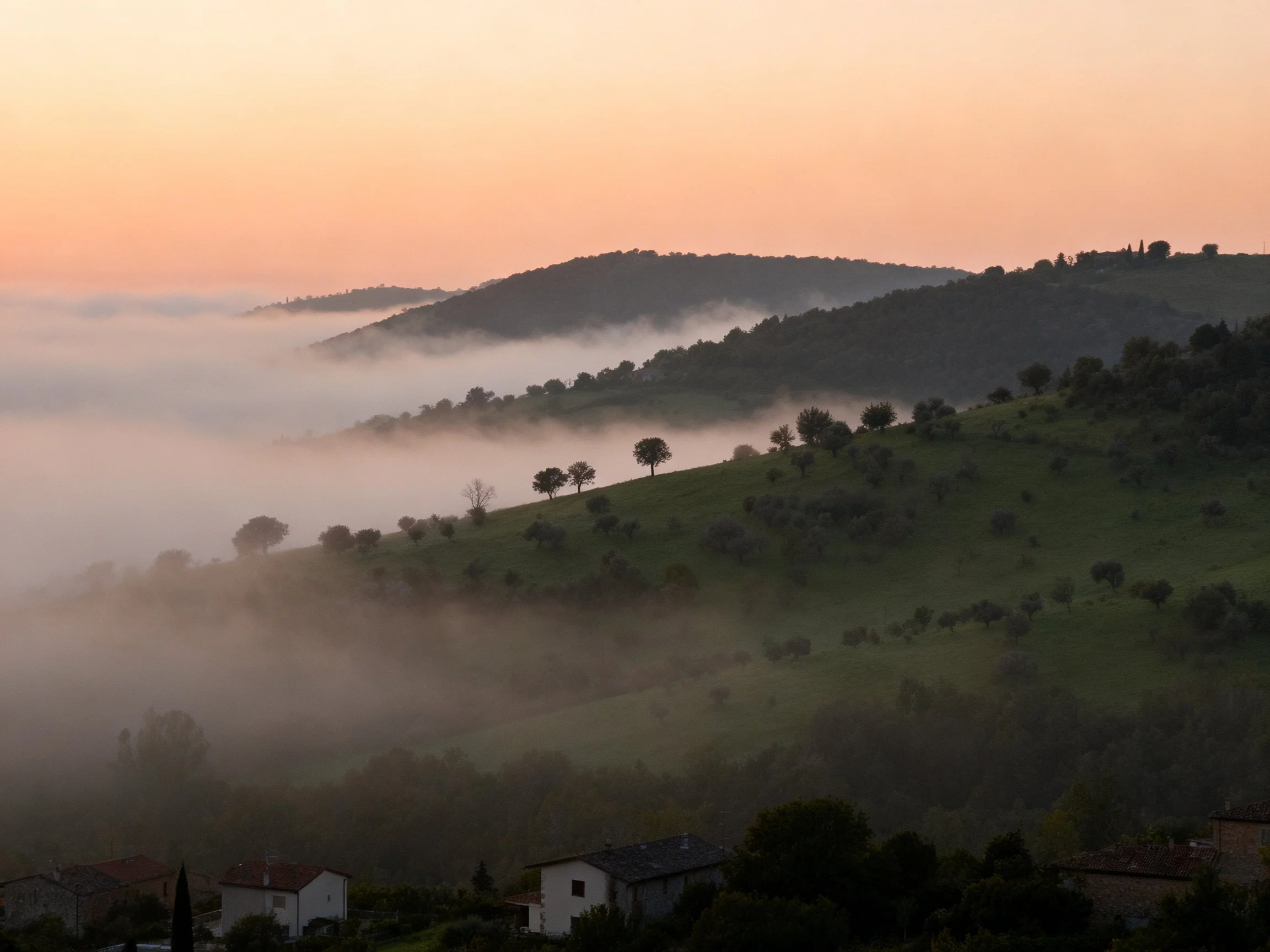 Rolling hills shrouded in morning fog with pink sunset sky