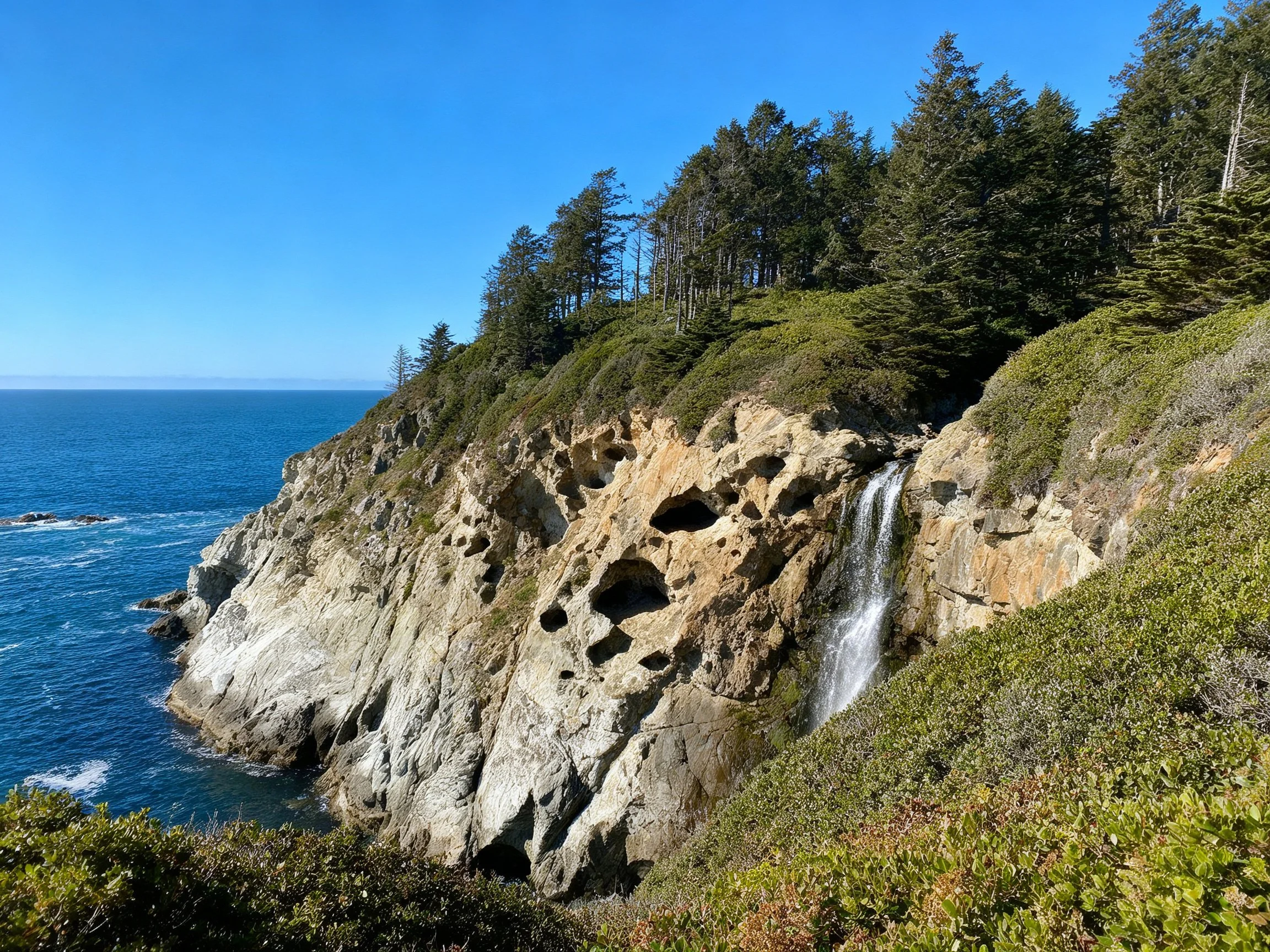 Rugged coastal cliffside with small waterfall and evergreen forest