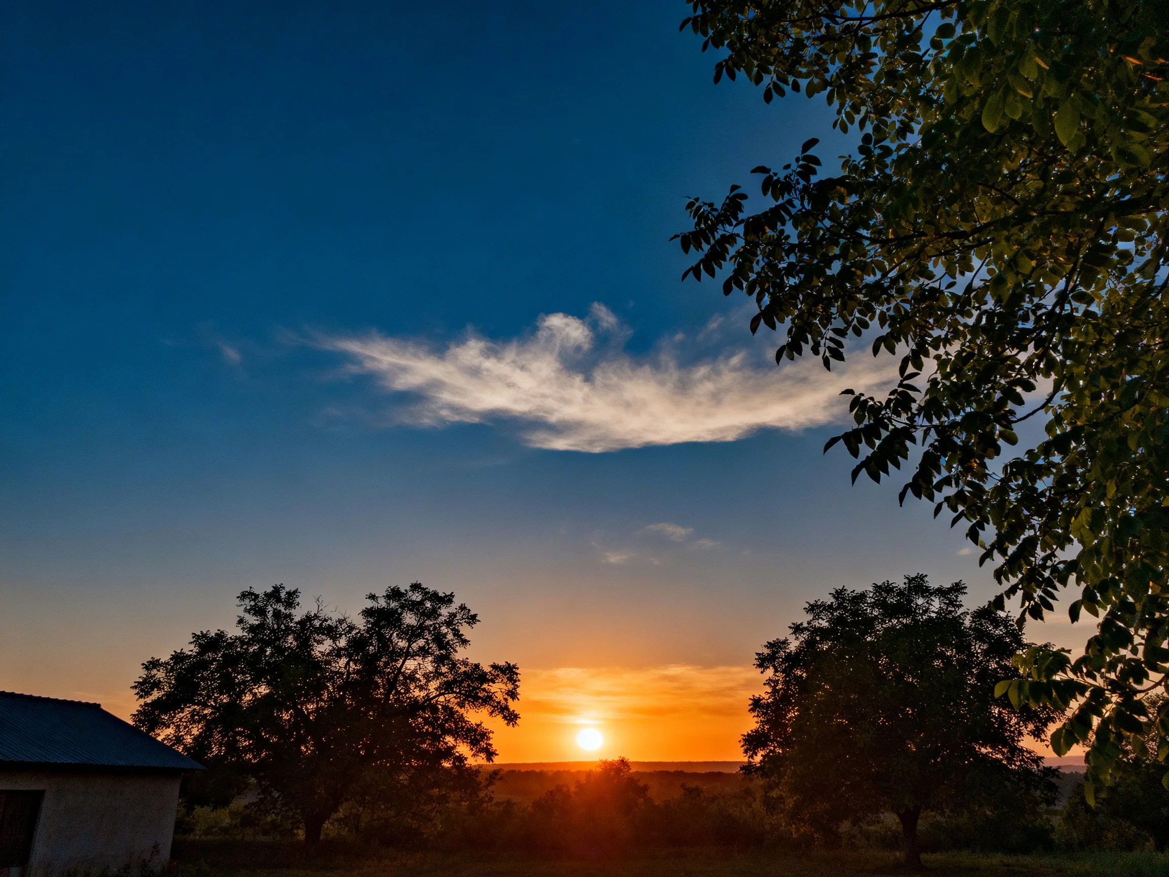 Rural Sunset with Trees, House, and Vibrant Sky
