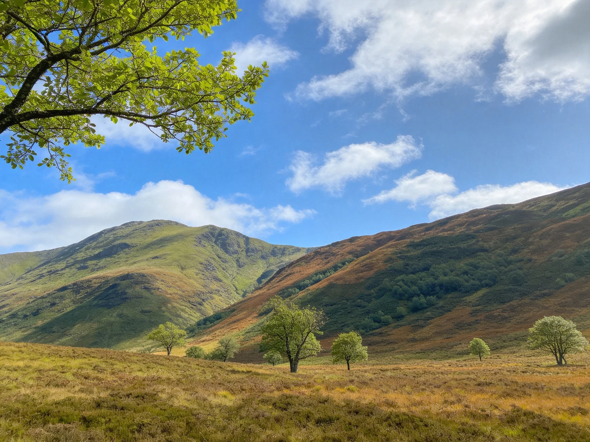 Scattered trees amidst rolling green hills under a bright blue sky