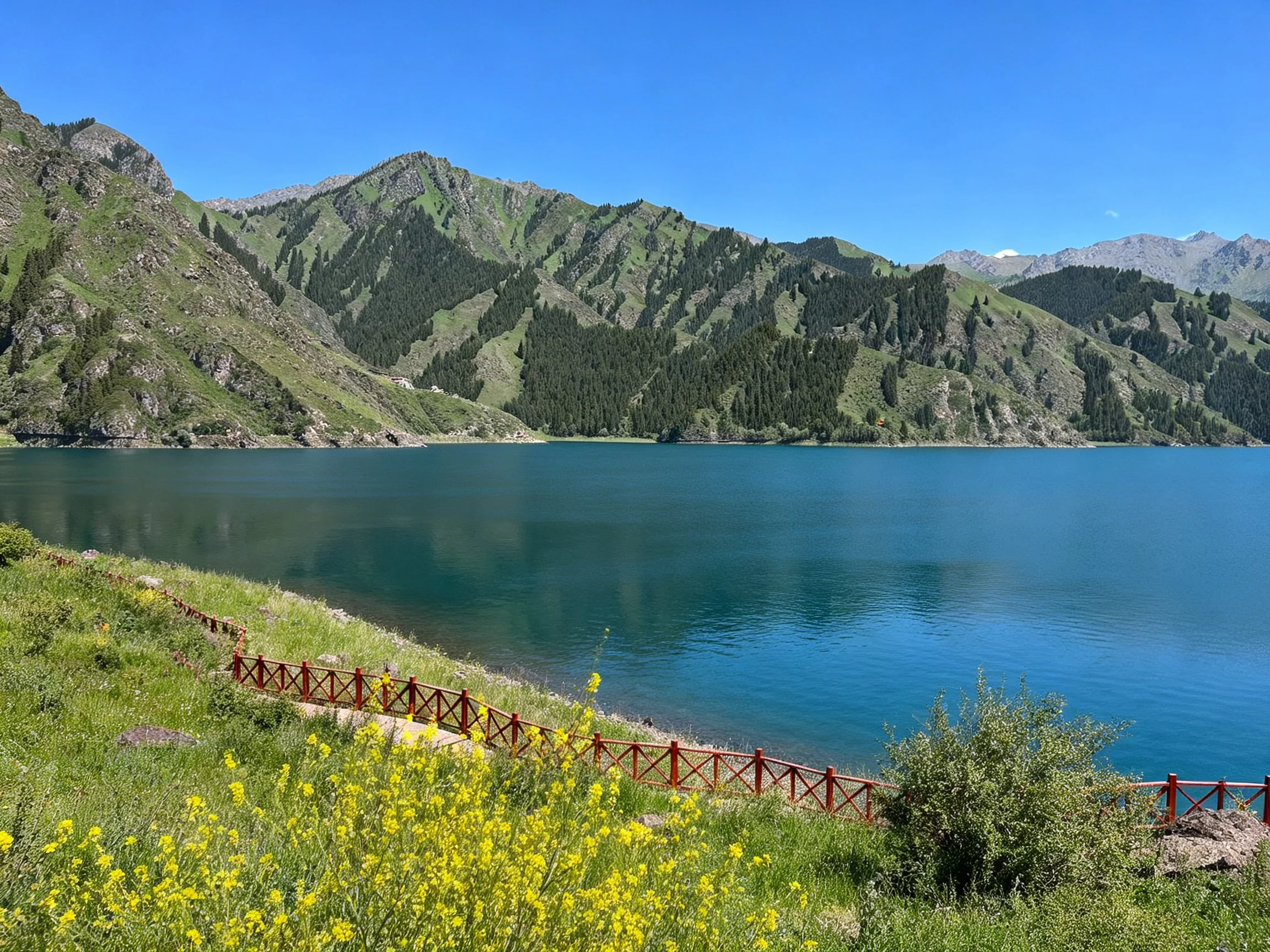 Serene lake bordered by lush green mountains and bright yellow wildflowers
