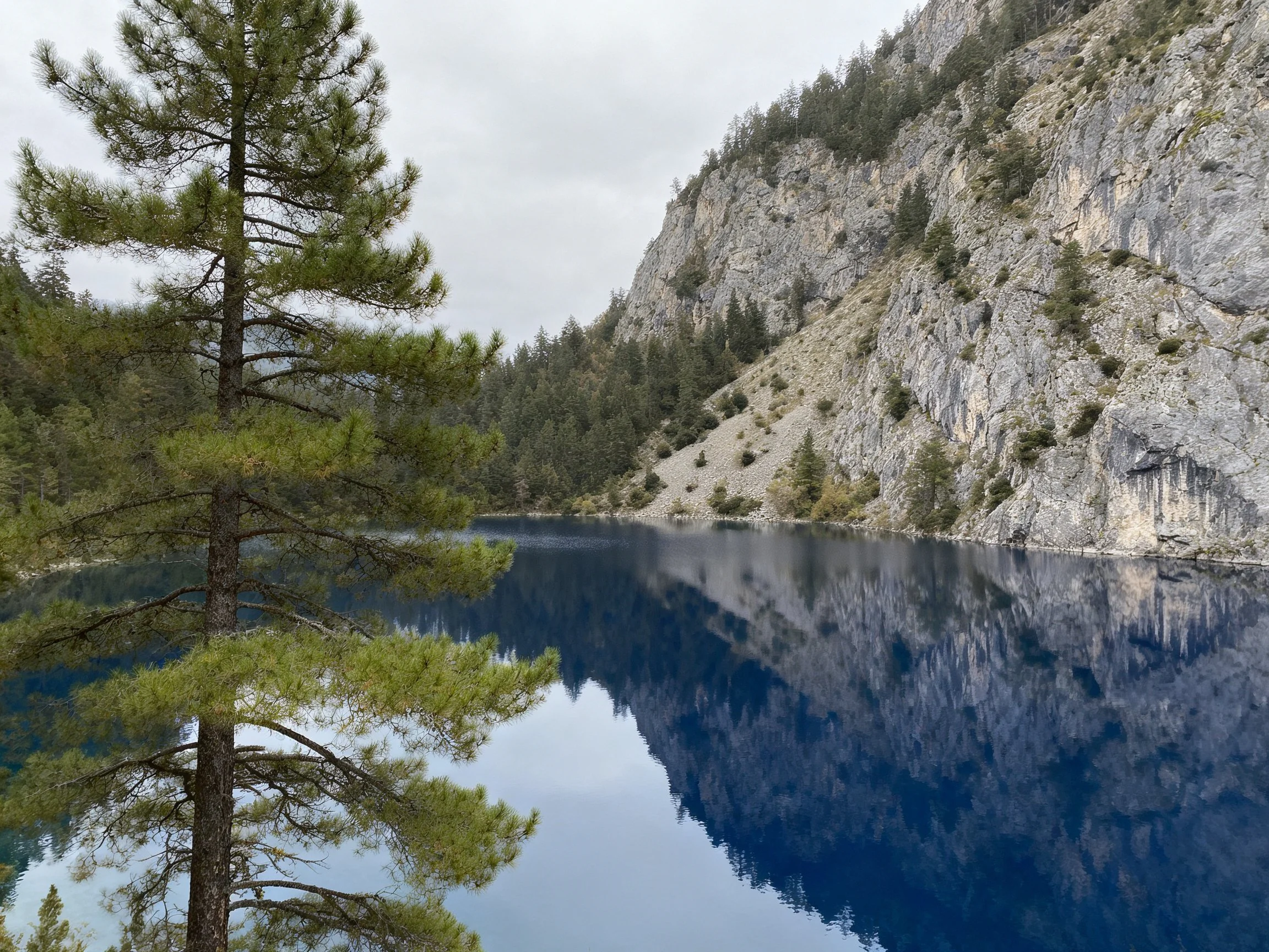 Serene lake reflects rocky cliffs and tall pine trees