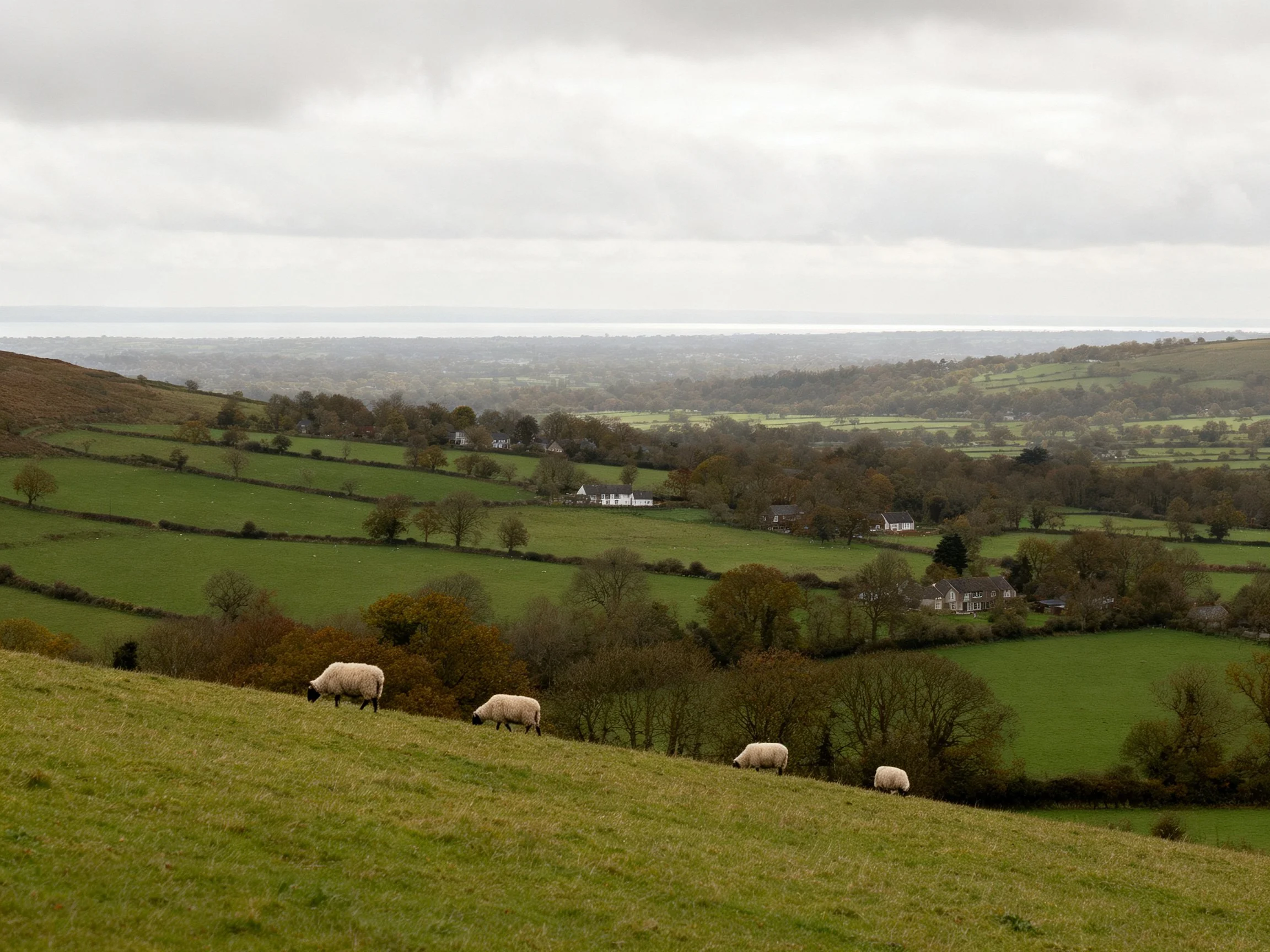 Sheep graze on rolling green hills with scattered villages