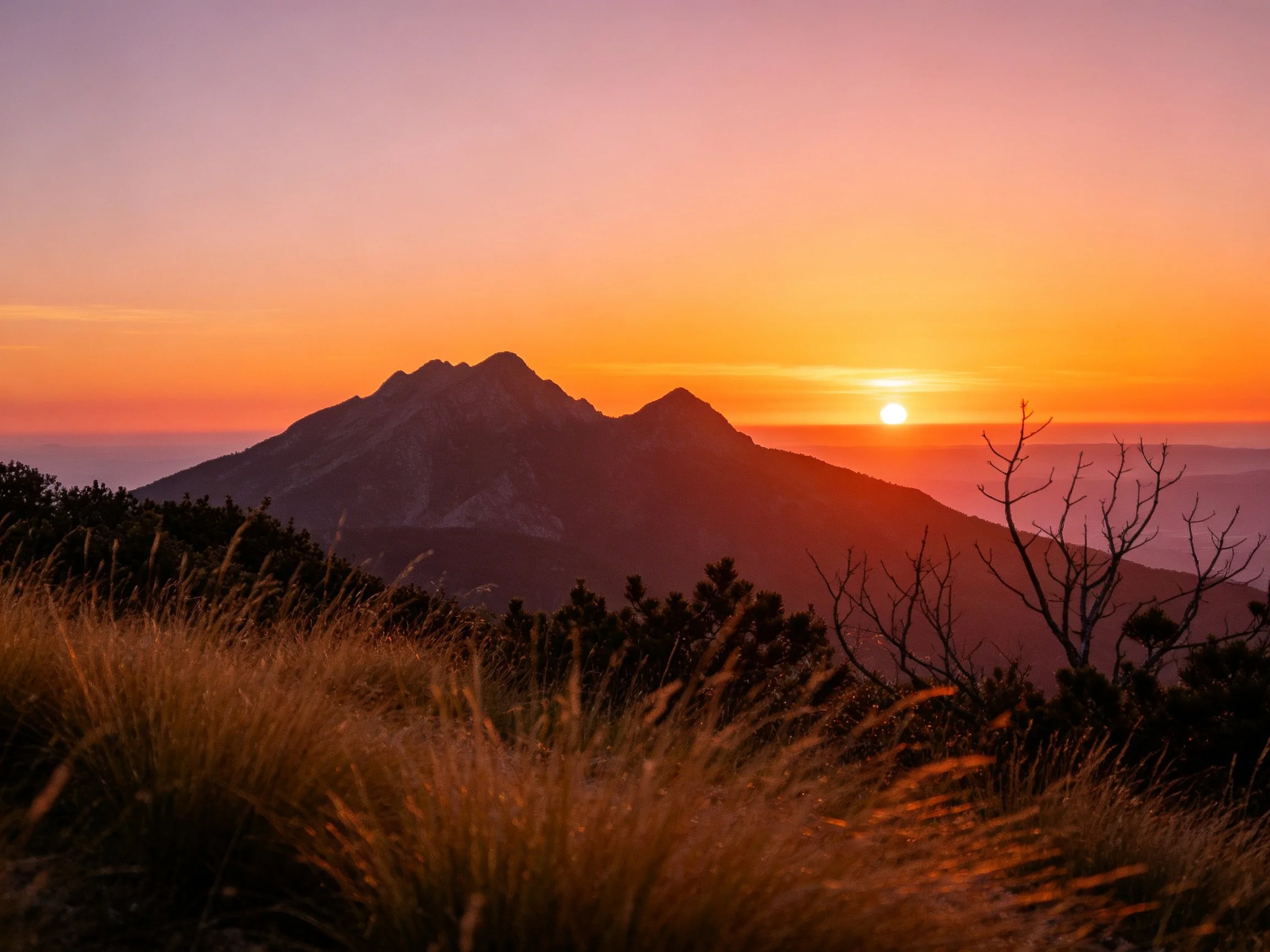 Silhouetted mountains beneath vibrant sunset sky with golden grass