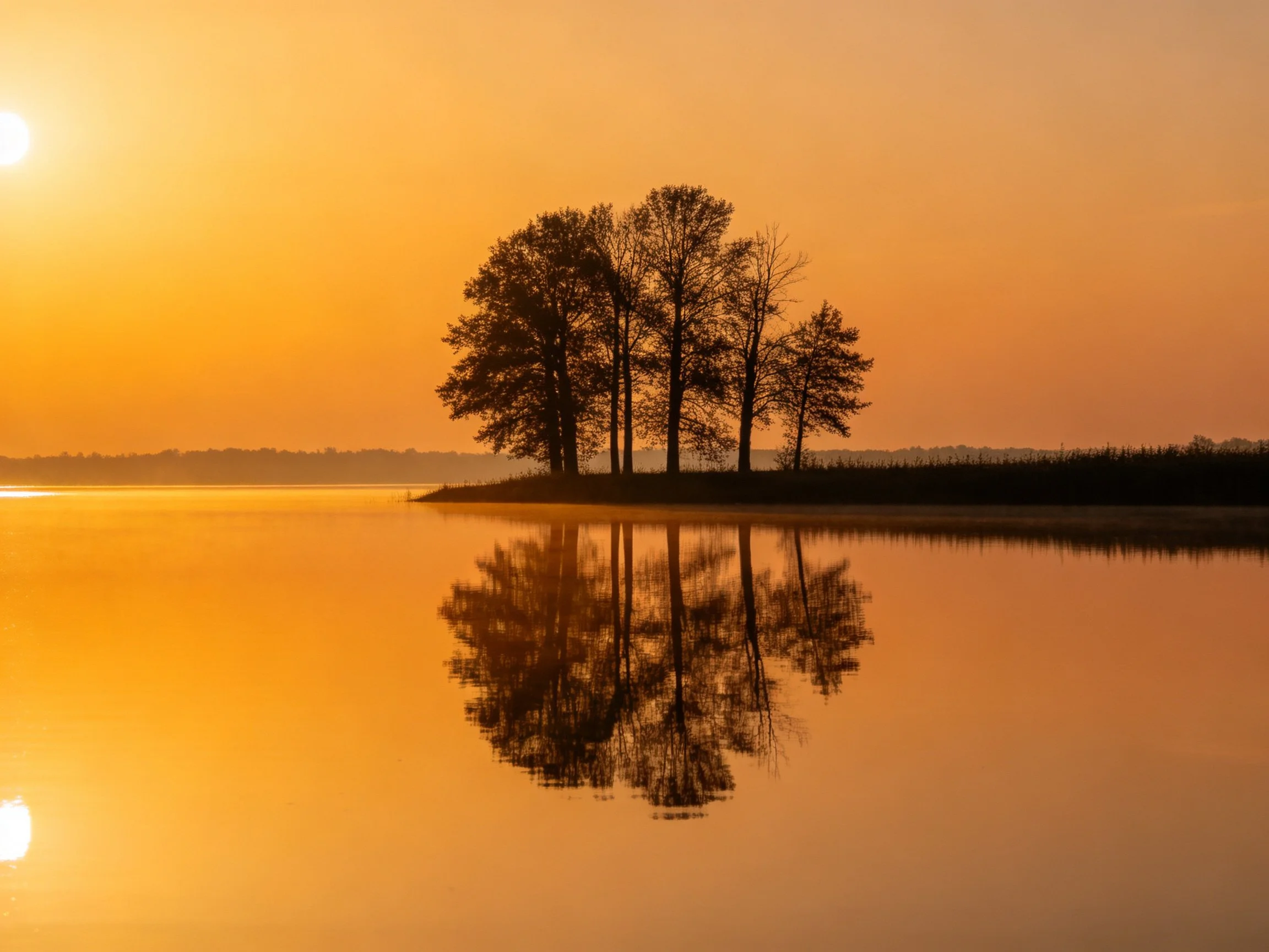 Silhouetted trees reflect in golden lake waters at sunset