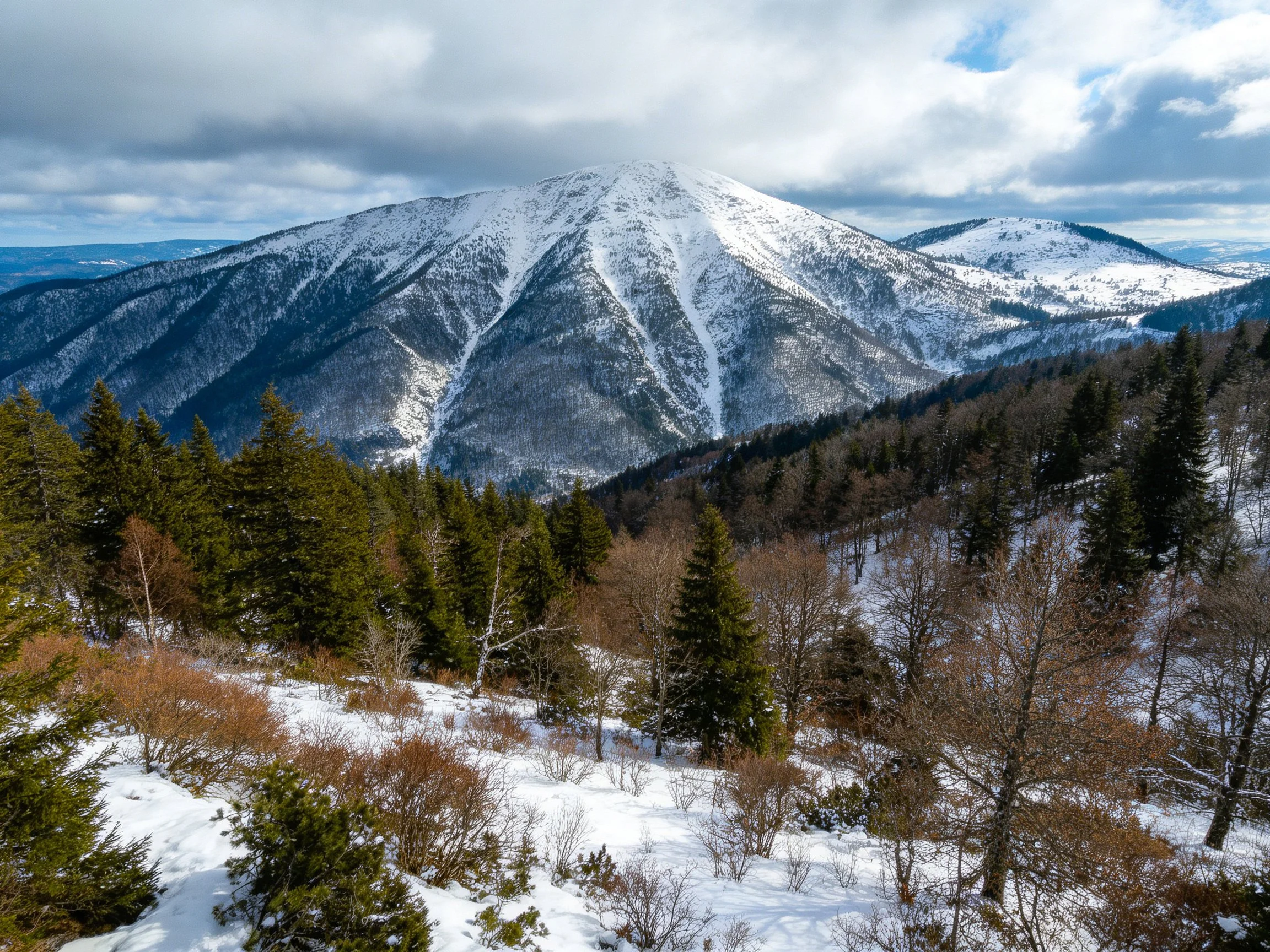 Snow-Capped MountainPeak with Forested Slopes