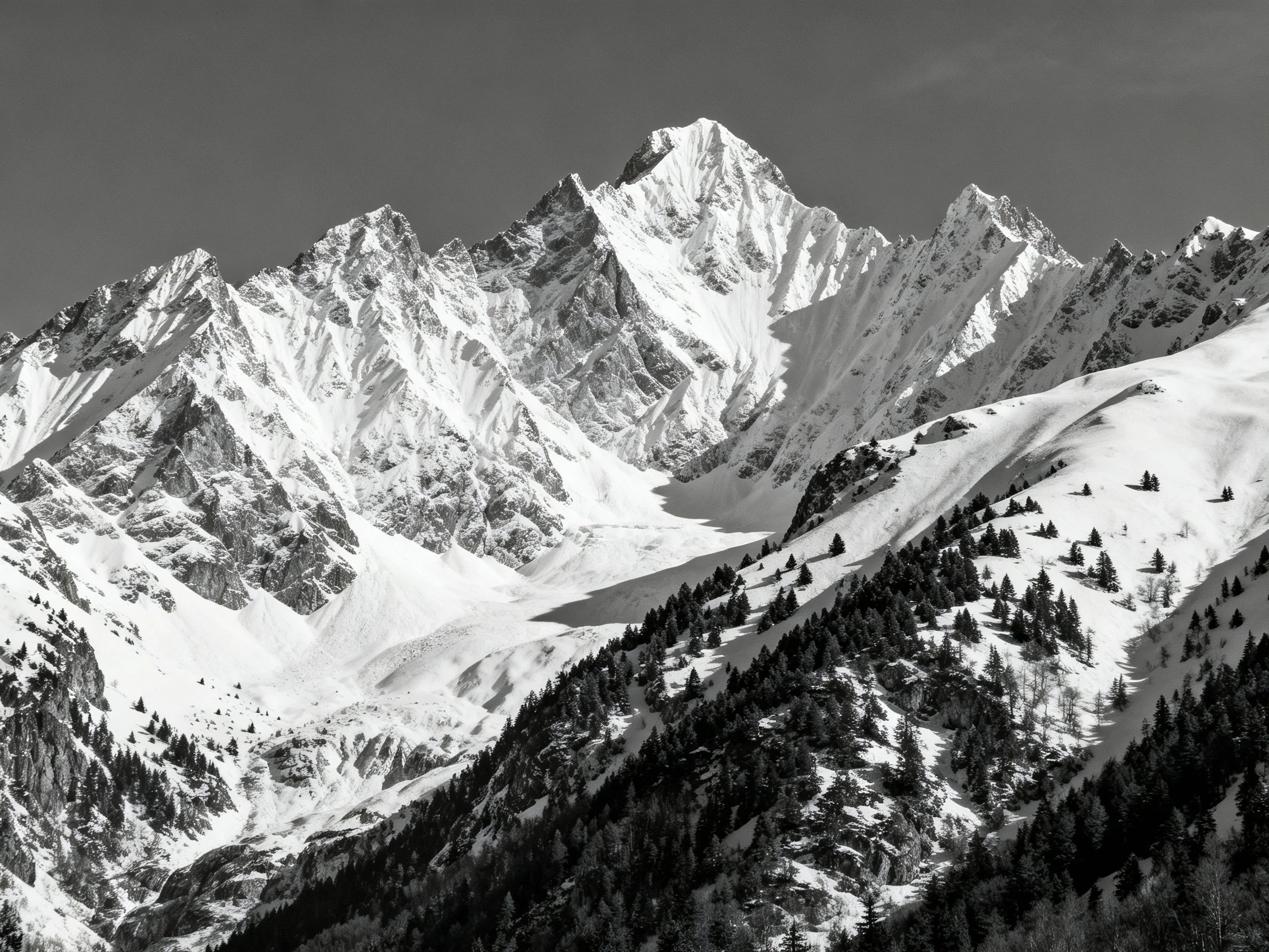 Snow-Covered Alpine Peaks with Forested Slopes
