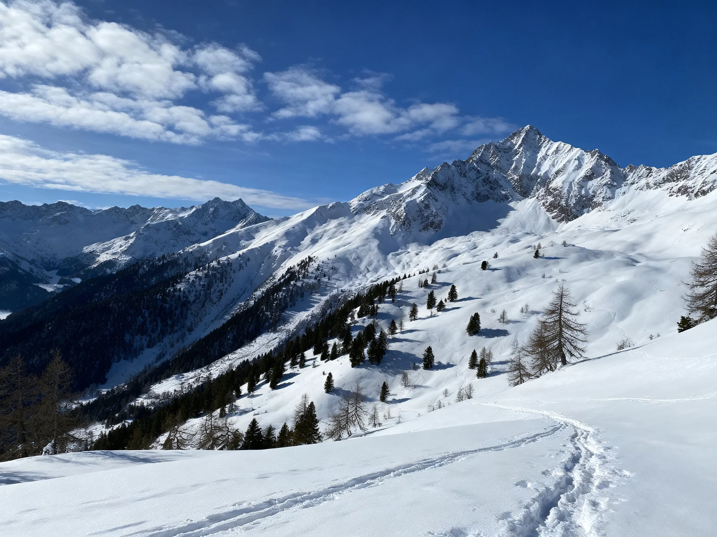 Snow-Covered Alpine Peaks with Scattered Pine Trees Under Bright Blue Sky