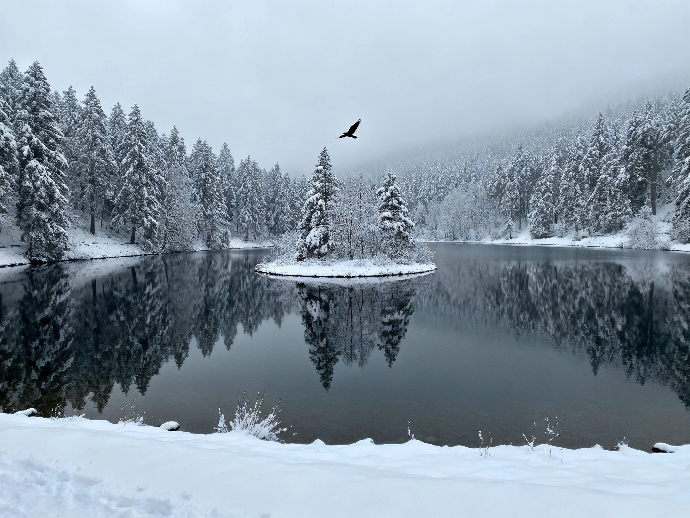 Snow-Covered Forest Lake with Bird and Reflections