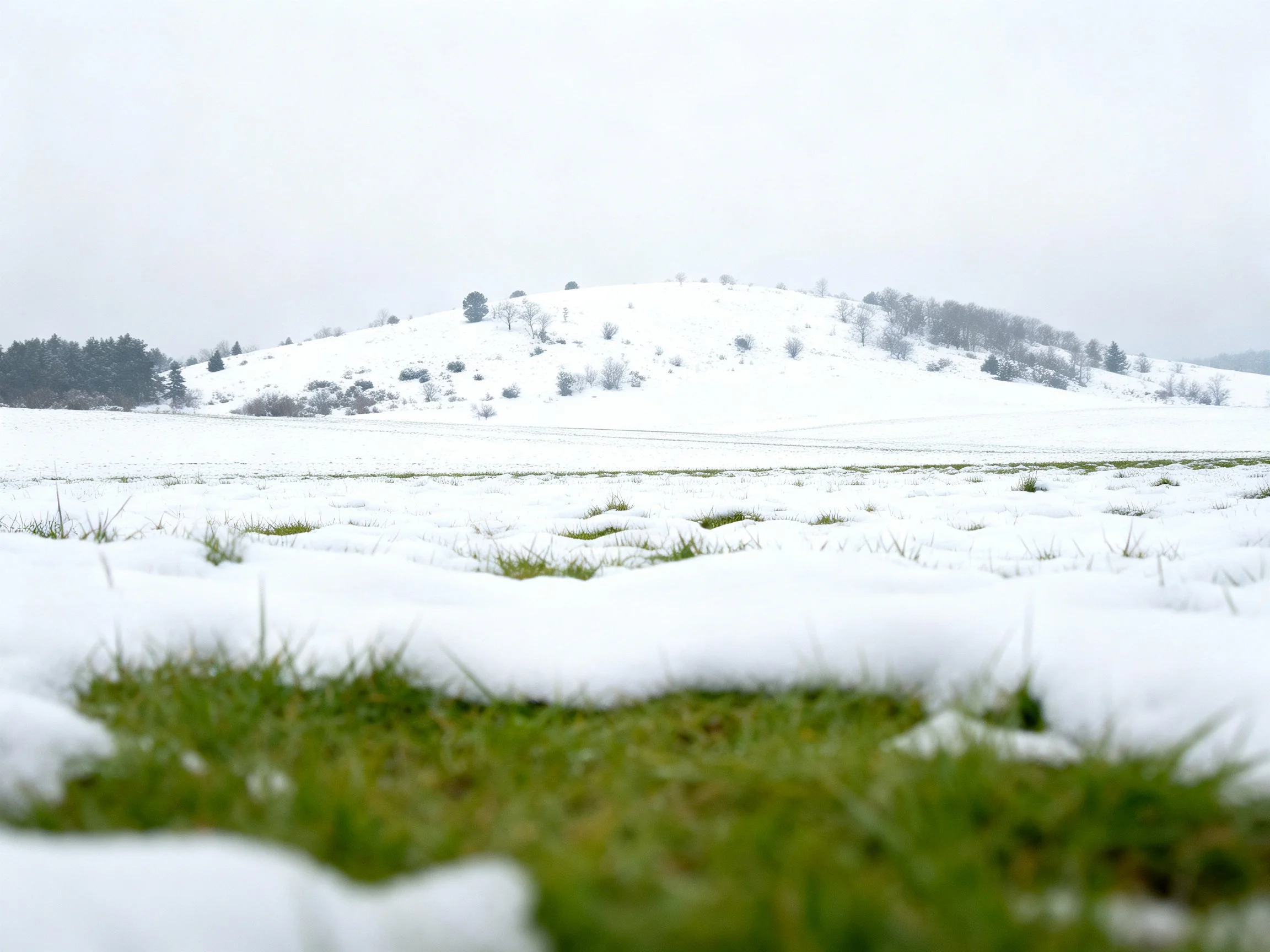 Snow-Covered Hillside with Exposed Green Grass