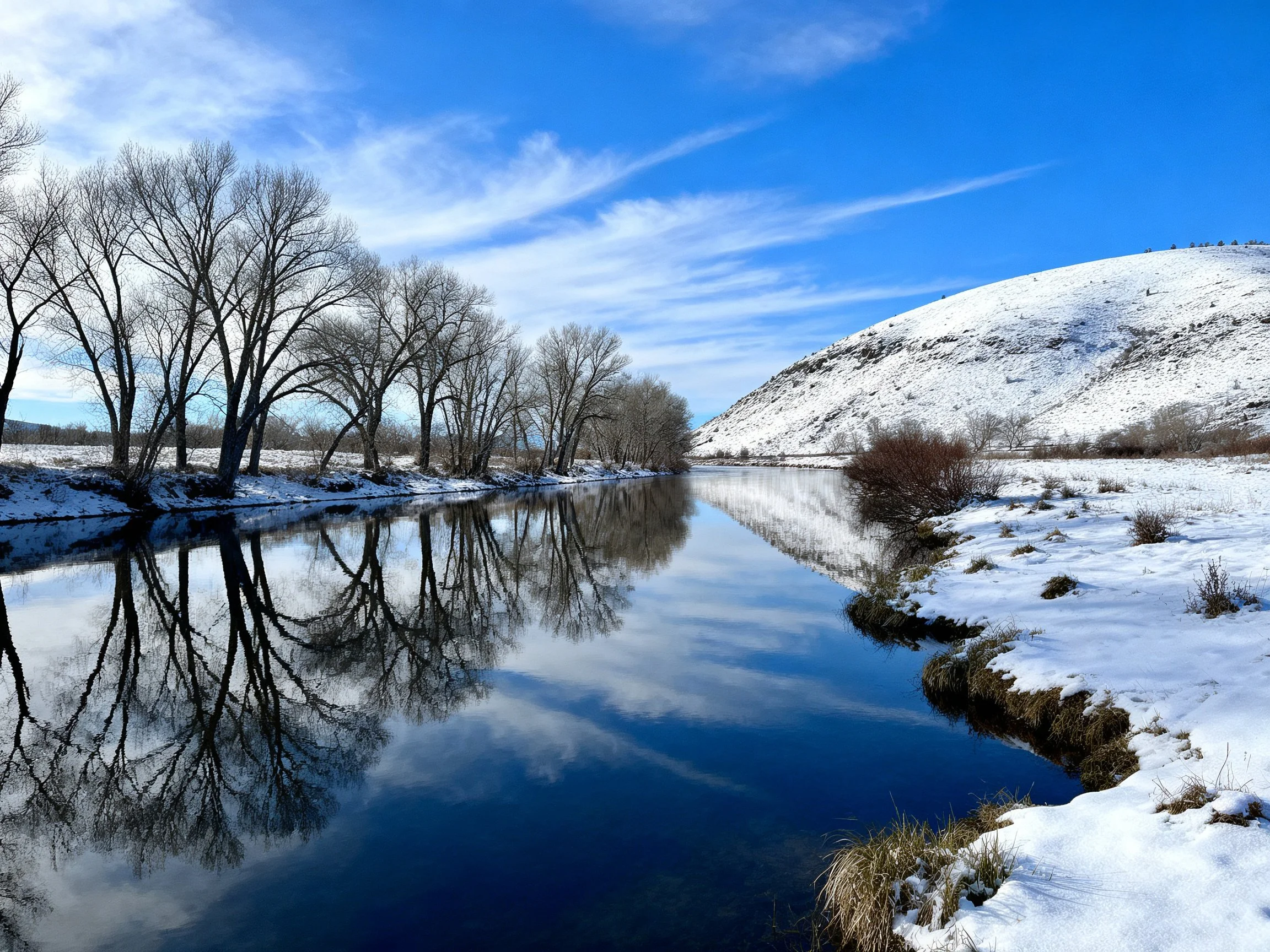 Snow-Covered Hillside with Reflective River and Bare Winter Trees