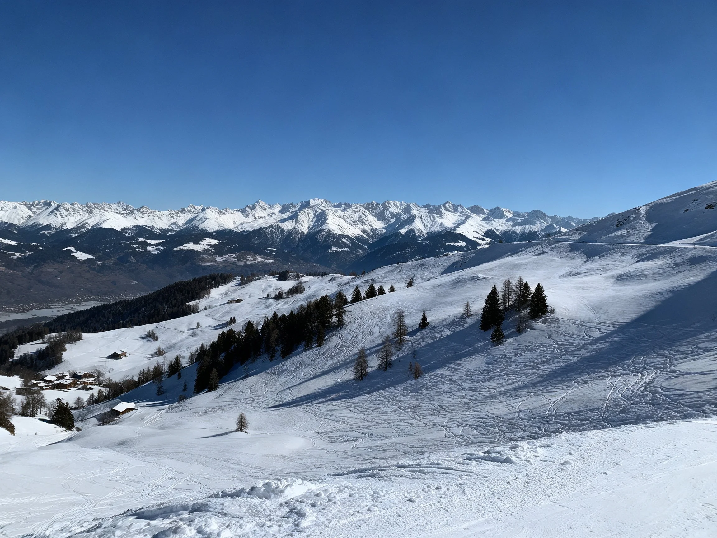 Snow-Covered Mountain Landscape with Scattered Pine Trees and Distant Peaks