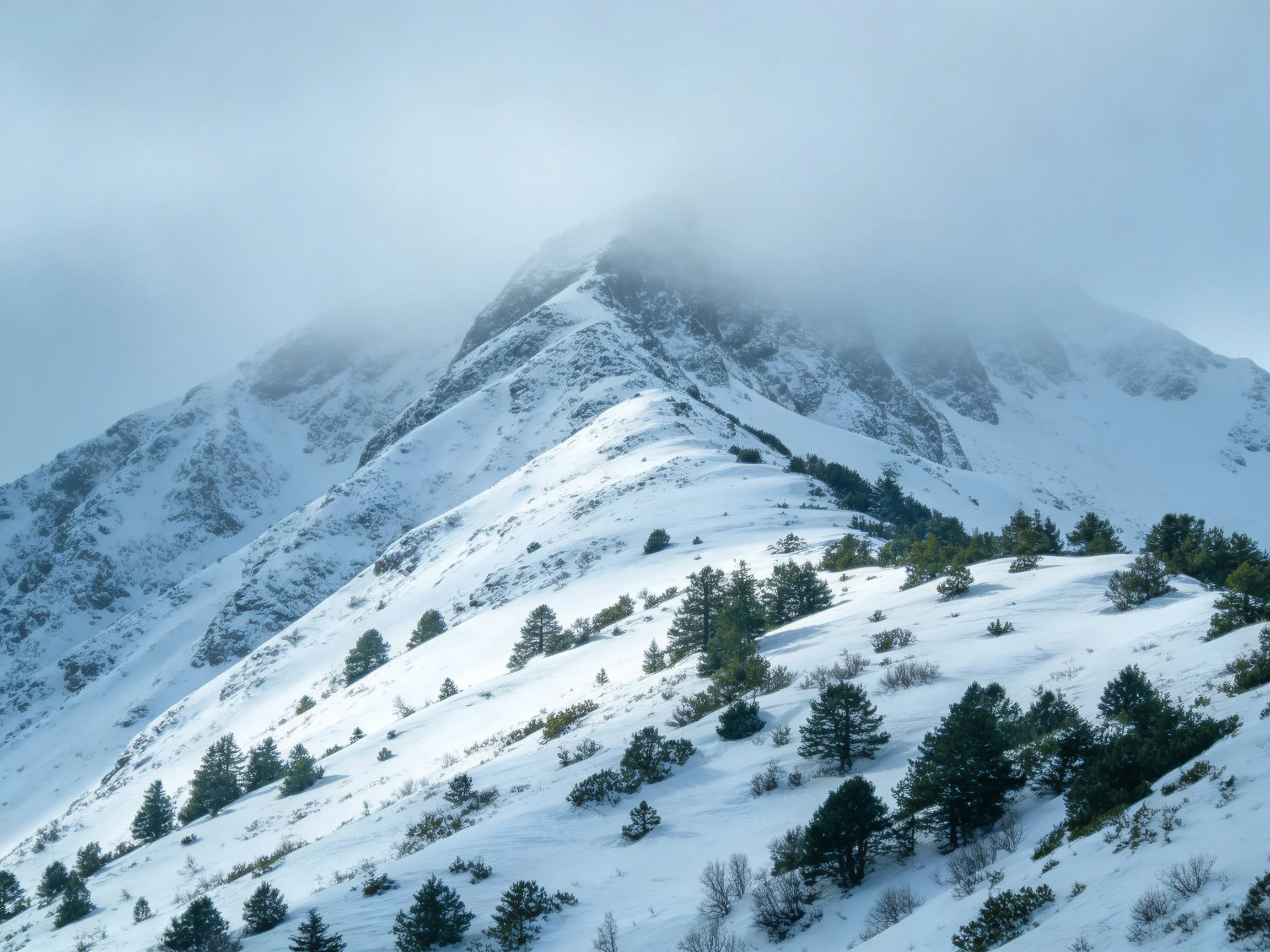 Snow-Covered Mountain Peak with Mist and Evergreen Trees
