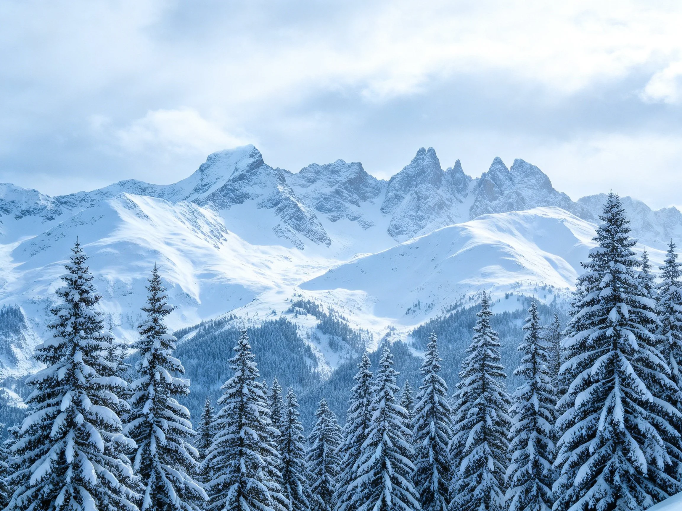 Snow-Covered Mountain Peaks with Frosty Evergreen Forest