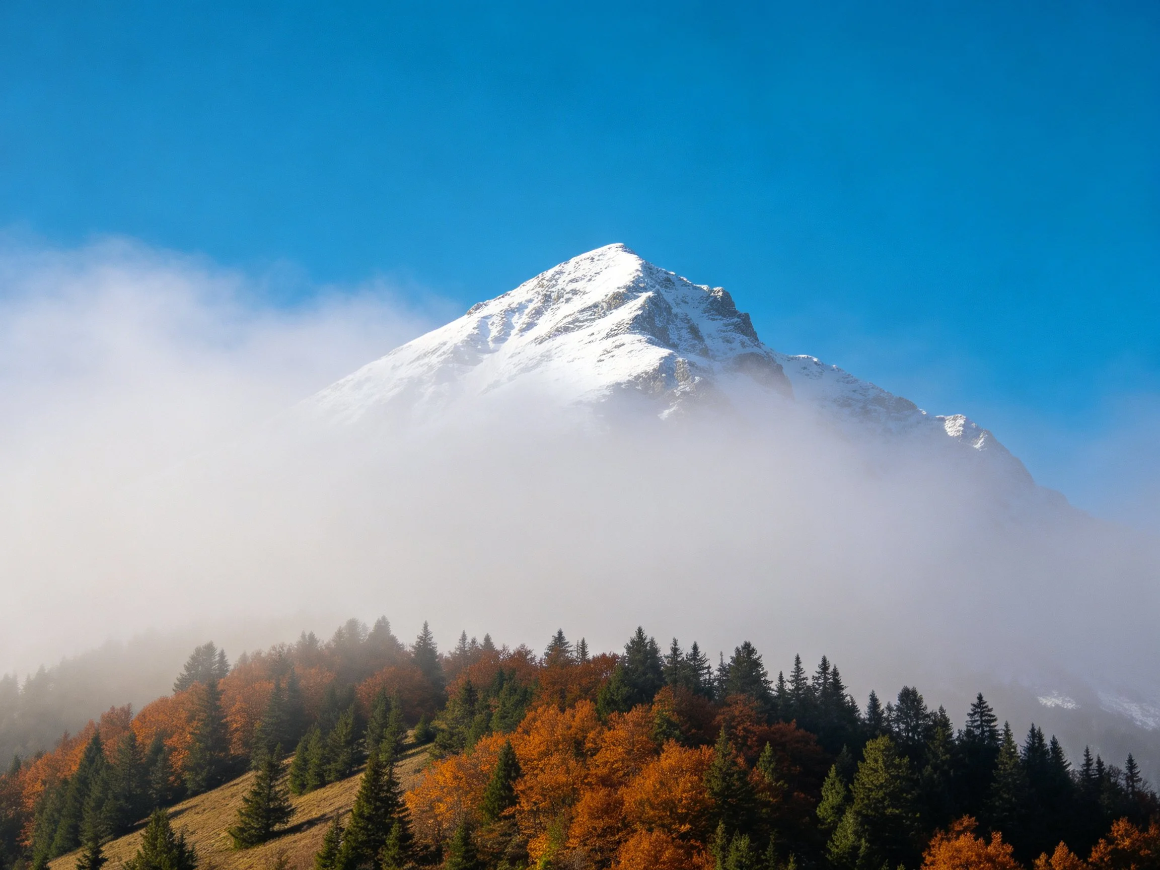Snow-capped mountain peak rises above autumn forest and morning mist